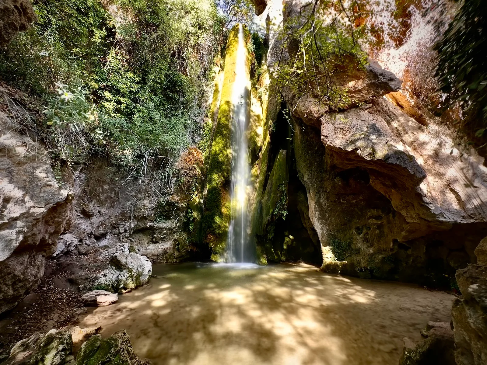 Details at Parque Natural Sierra de Huétor Granada — travel photo