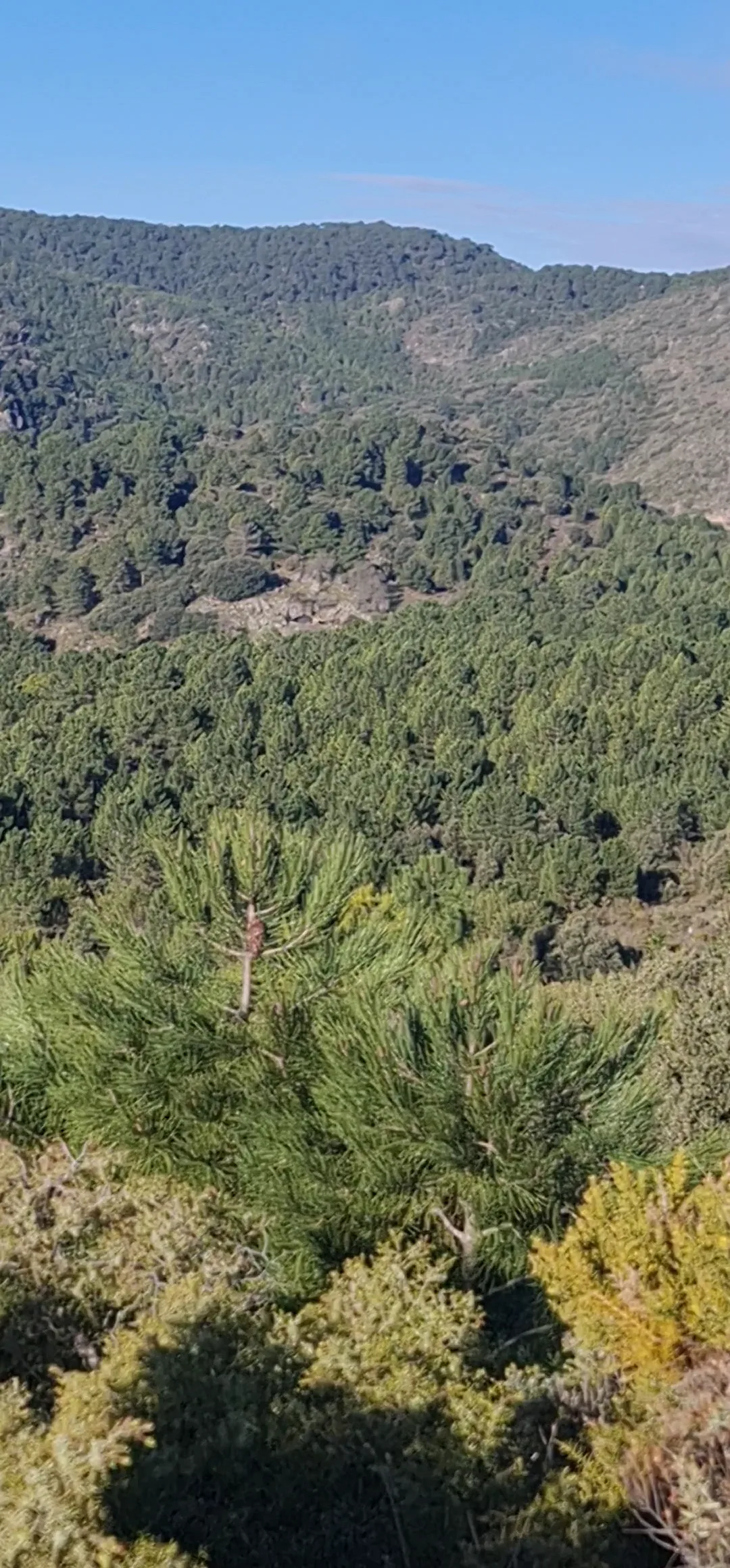 Atmosphere at Parque Natural Sierra de Huétor Granada — travel photo