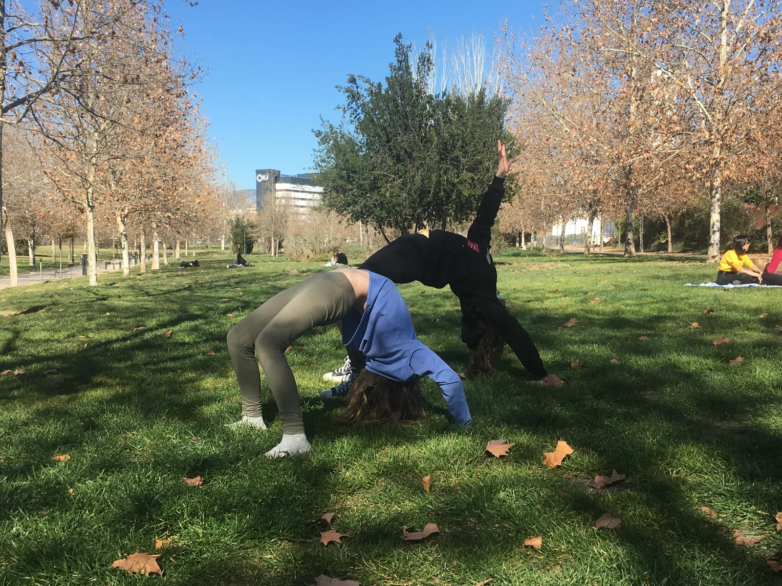 Atmosphere at Parque Tico Medina Granada — travel photo
