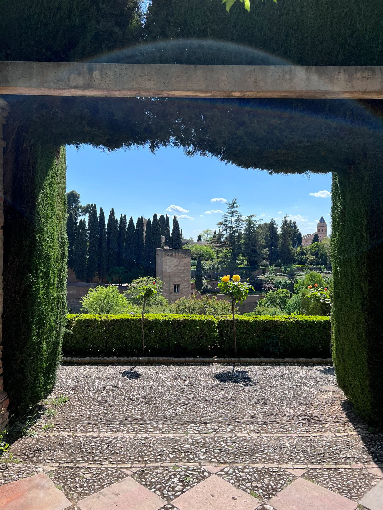 Main view at Partal Alto de la Alhambra Garden Granada — travel photo