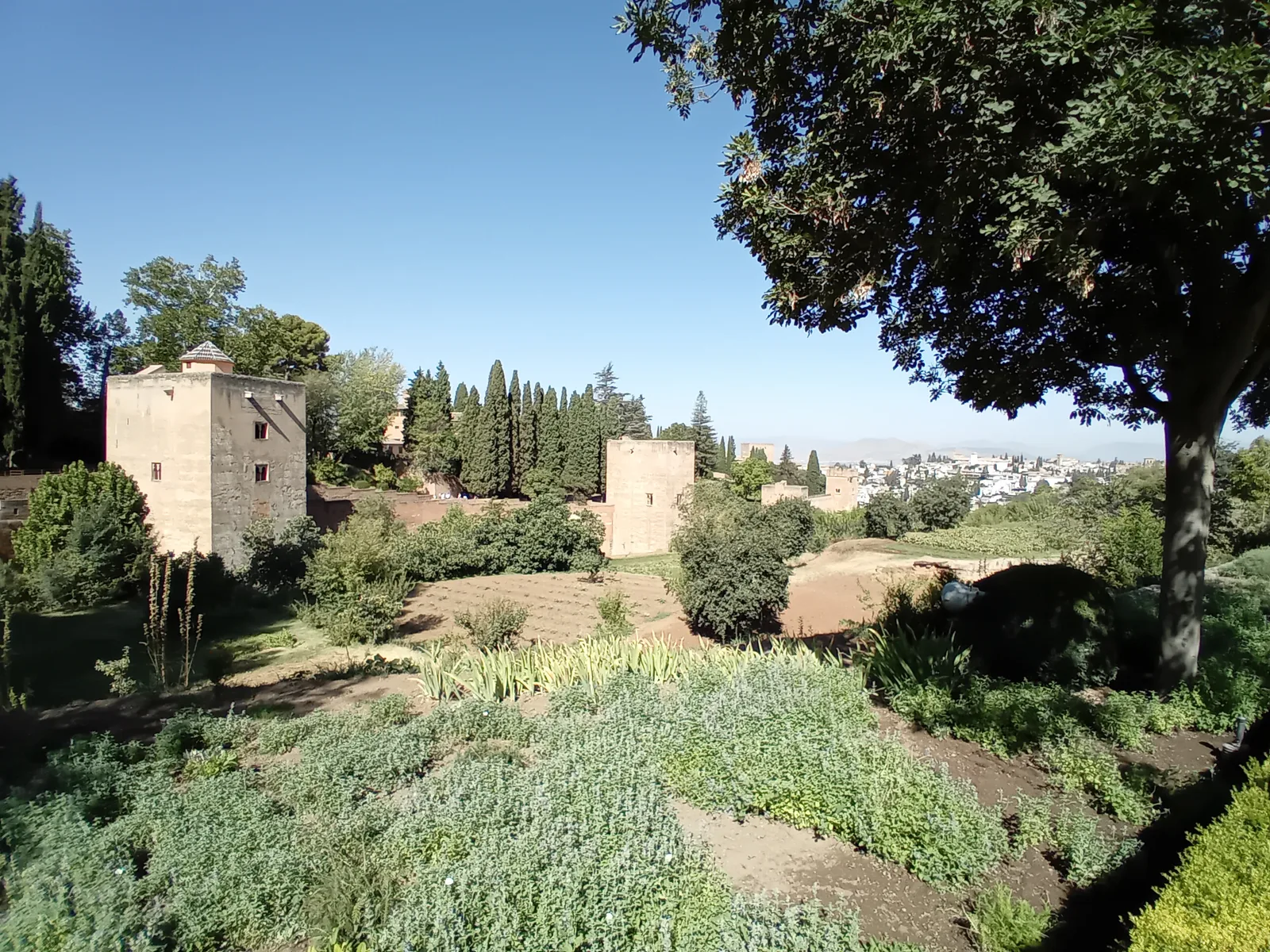 Details at Walk of the Tower Granada — travel photo