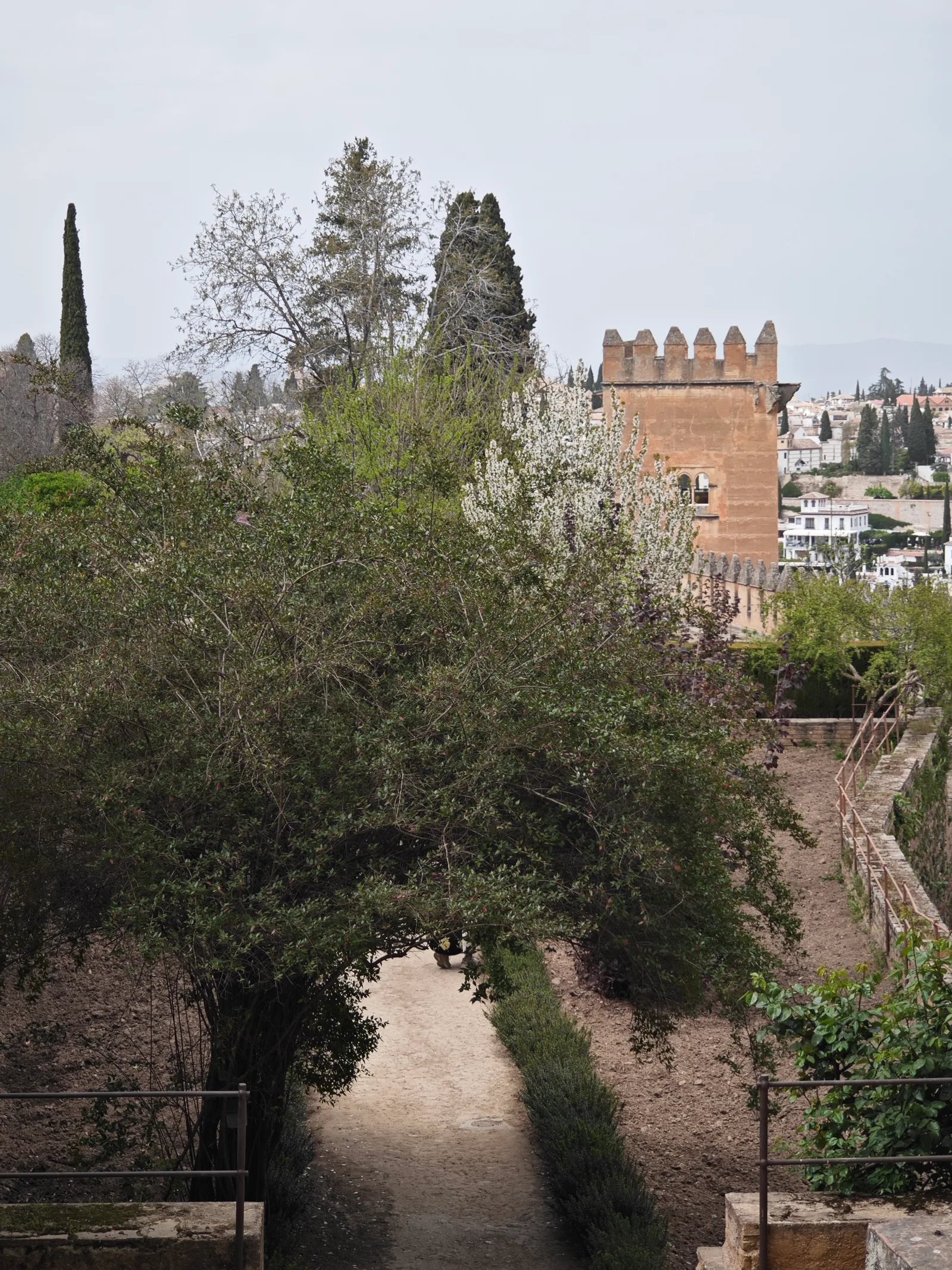 Atmosphere at Walk of the Tower Granada — travel photo