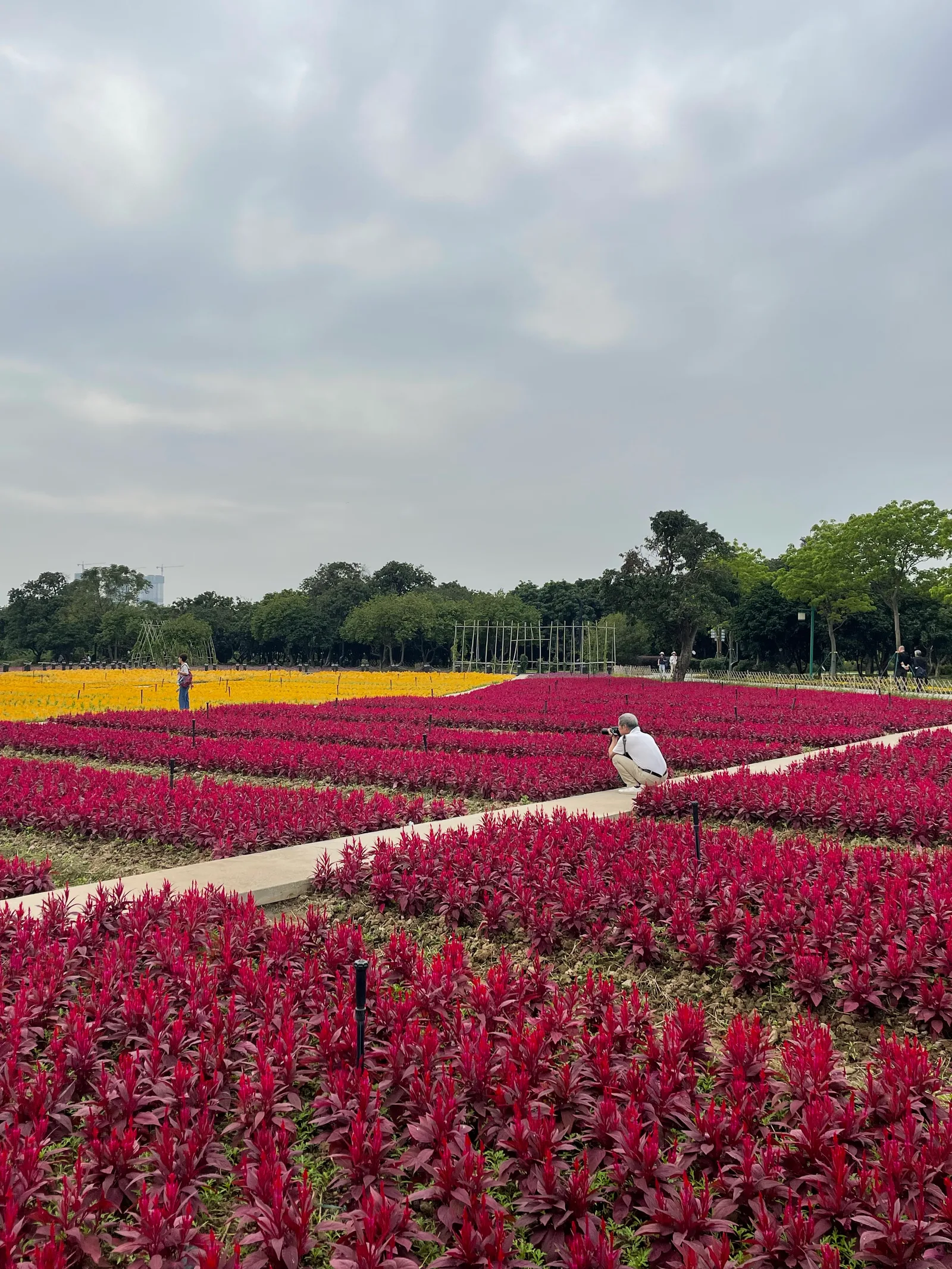 Interior at Guangdong Haizhu National Wetland Park Guangzhou — travel photo