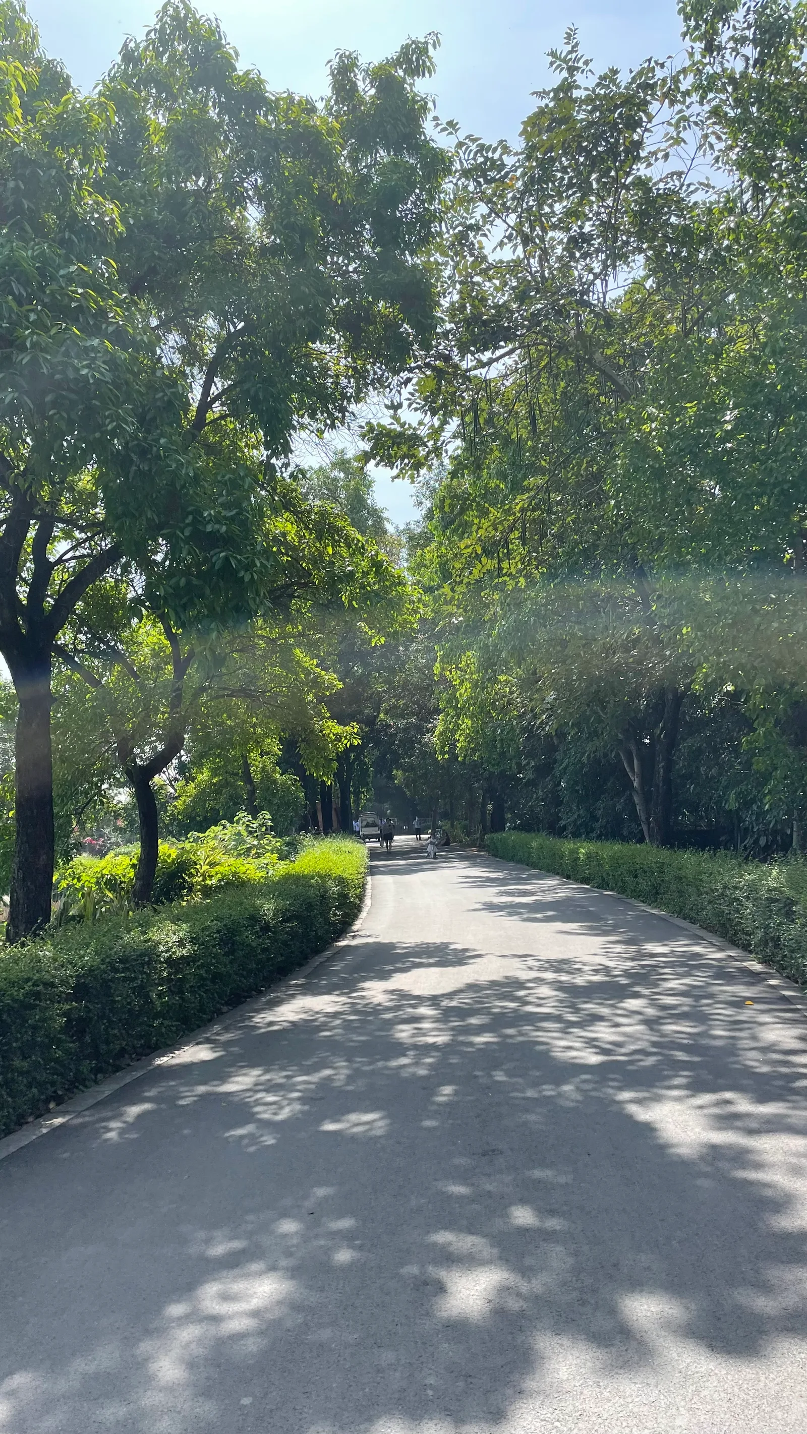 Details at Guangdong Haizhu National Wetland Park Guangzhou — travel photo