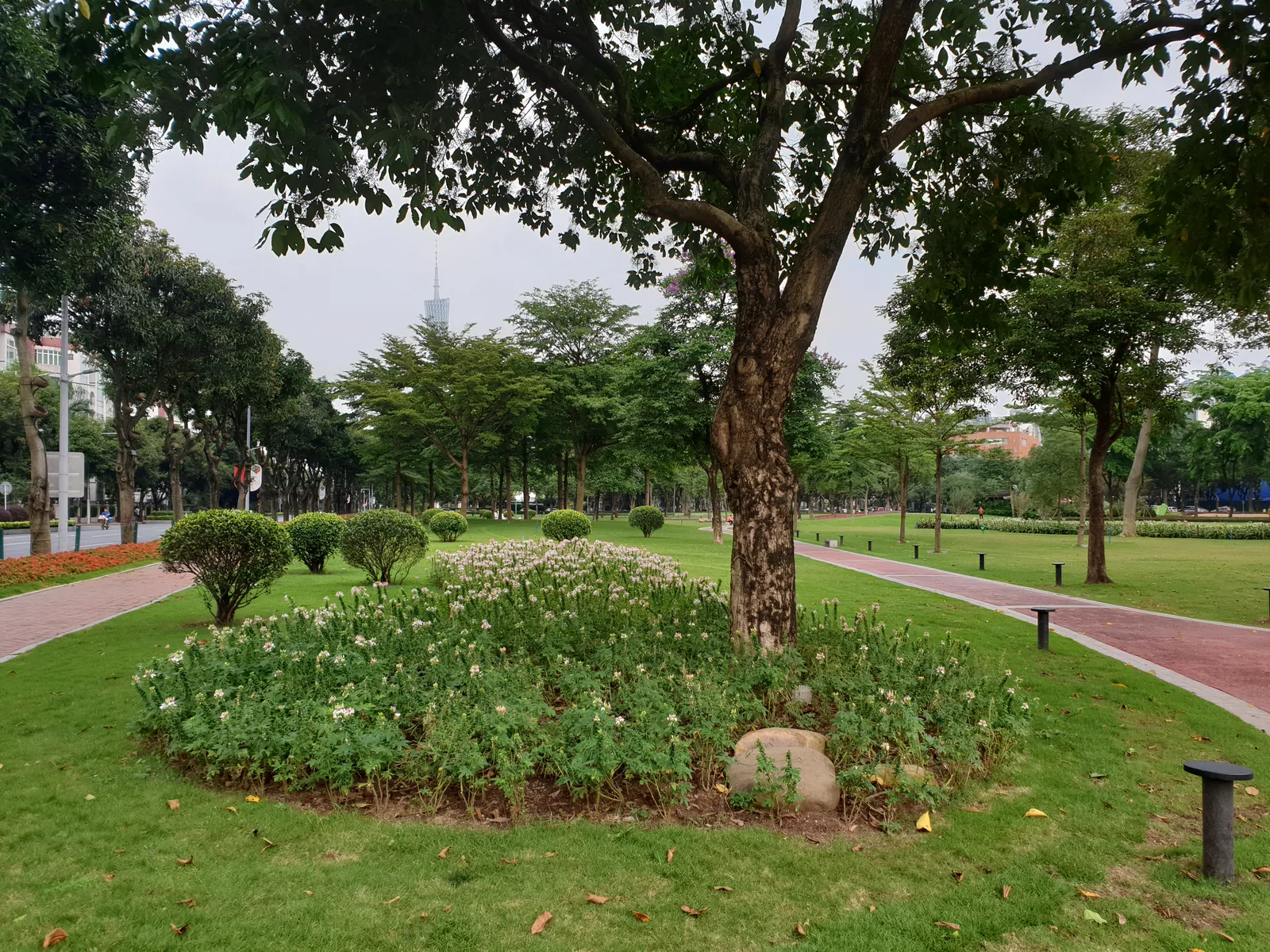 Details at Guangzhou Development Park Guangzhou — travel photo
