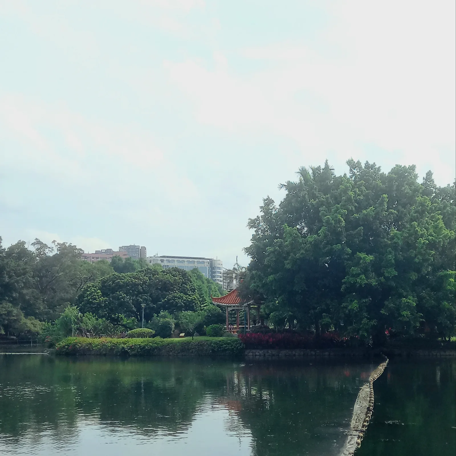 Details at Liuhuahu Park Guangzhou — travel photo