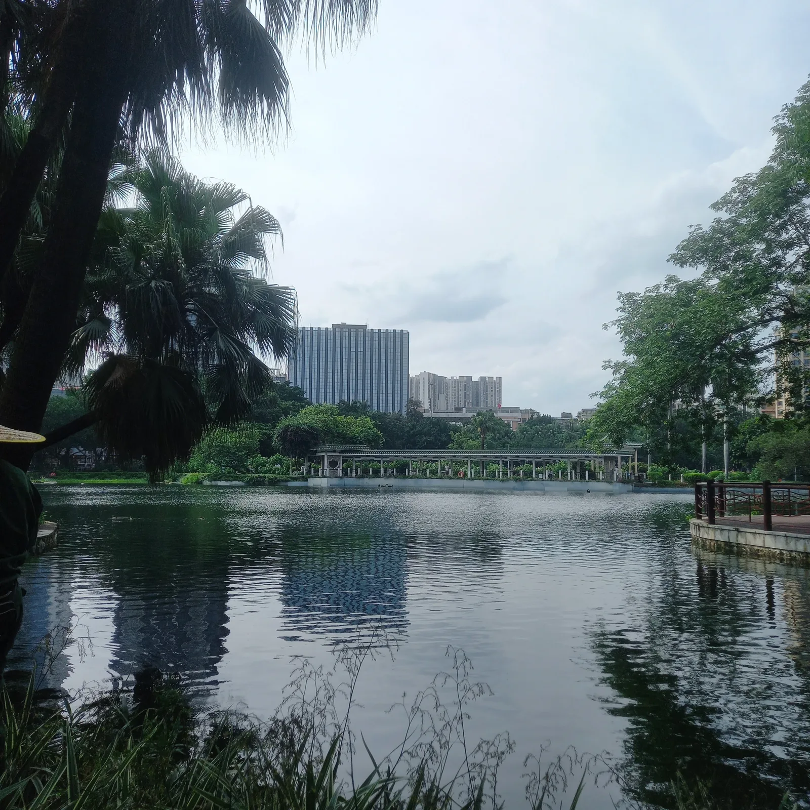 Atmosphere at Liuhuahu Park Guangzhou — travel photo
