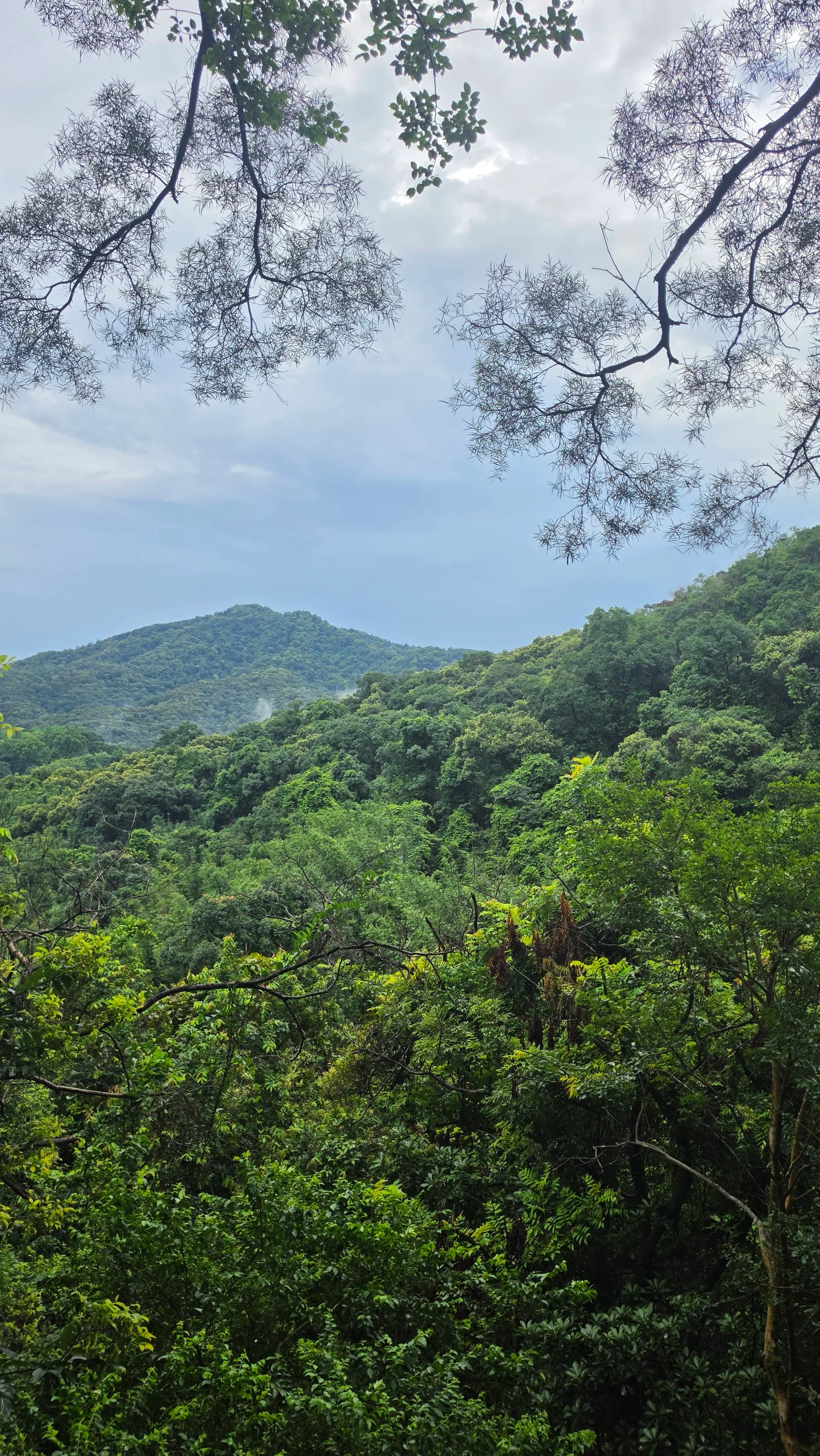 Atmosphere at Moxing Summit Guangzhou — travel photo