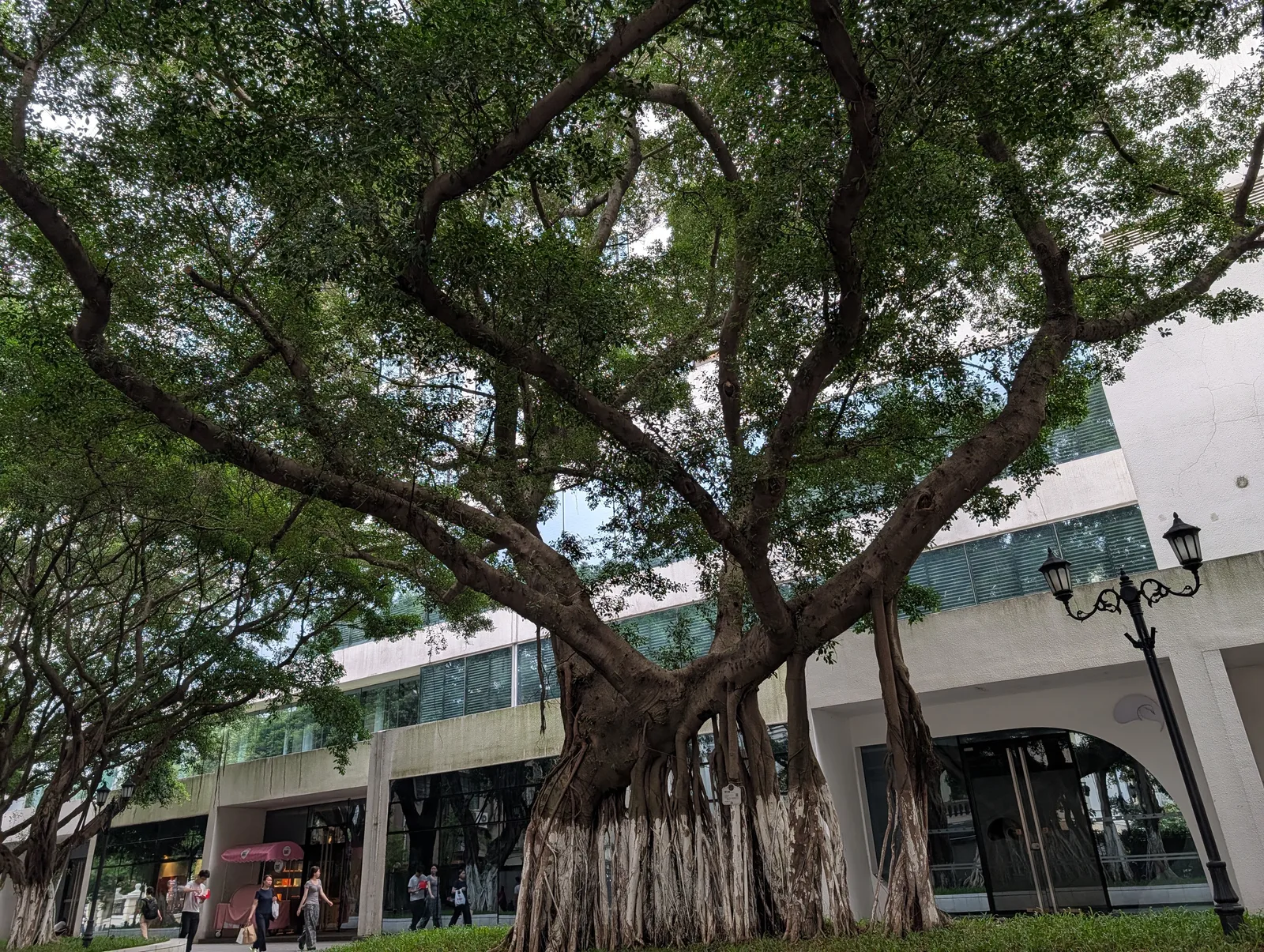 Details at Shamian Park Guangzhou — travel photo