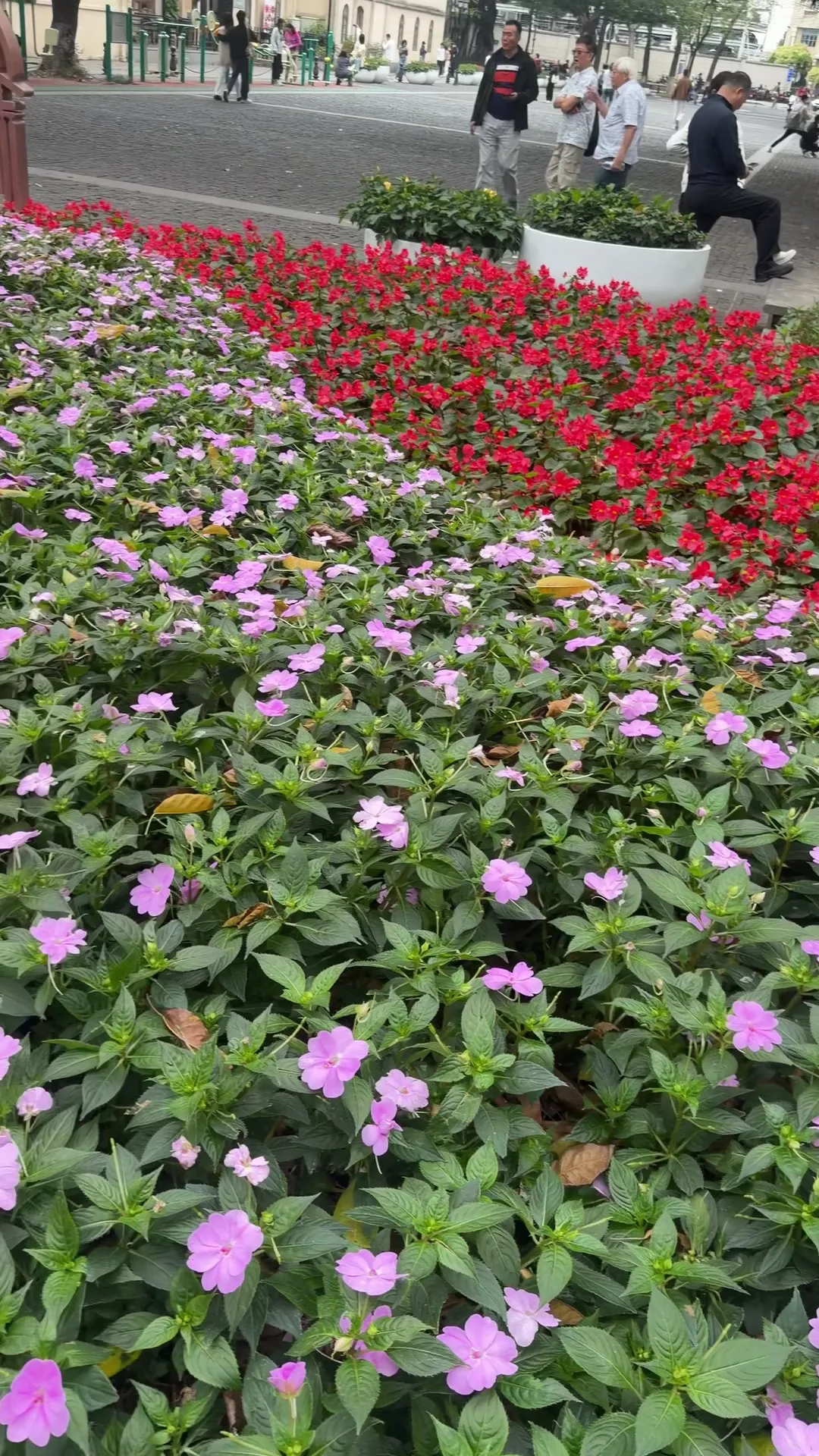 Interior at Shamian Tourist Zone Guangzhou — travel photo