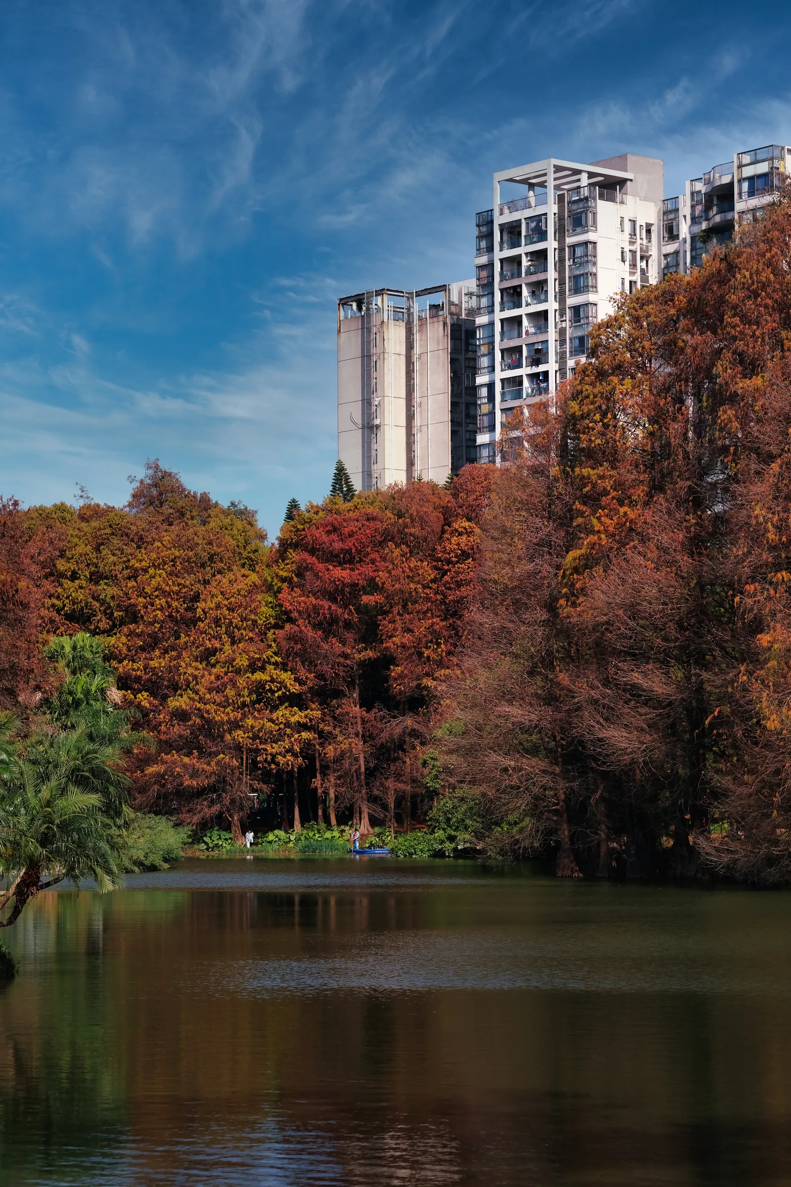 Main view at South China Botanical Garden, Chinese Academy of Sciences Guangzhou — travel photo