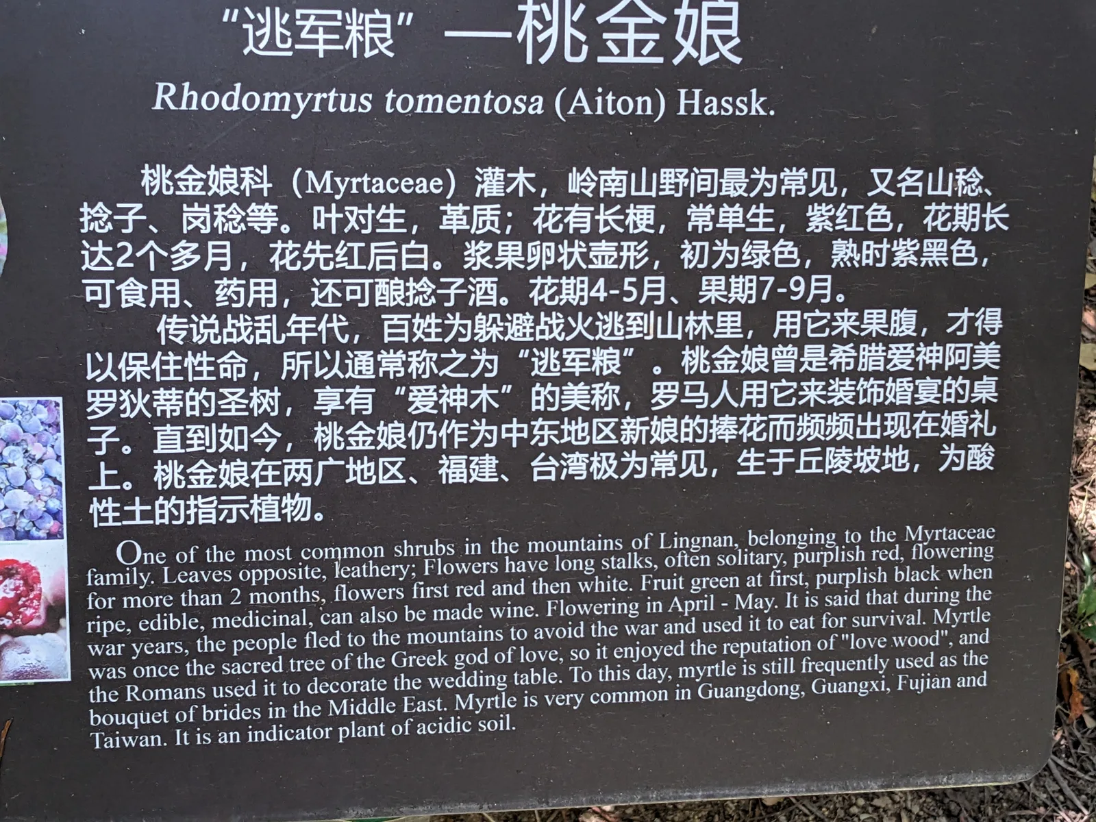 Interior at South China Botanical Garden, Chinese Academy of Sciences Guangzhou — travel photo