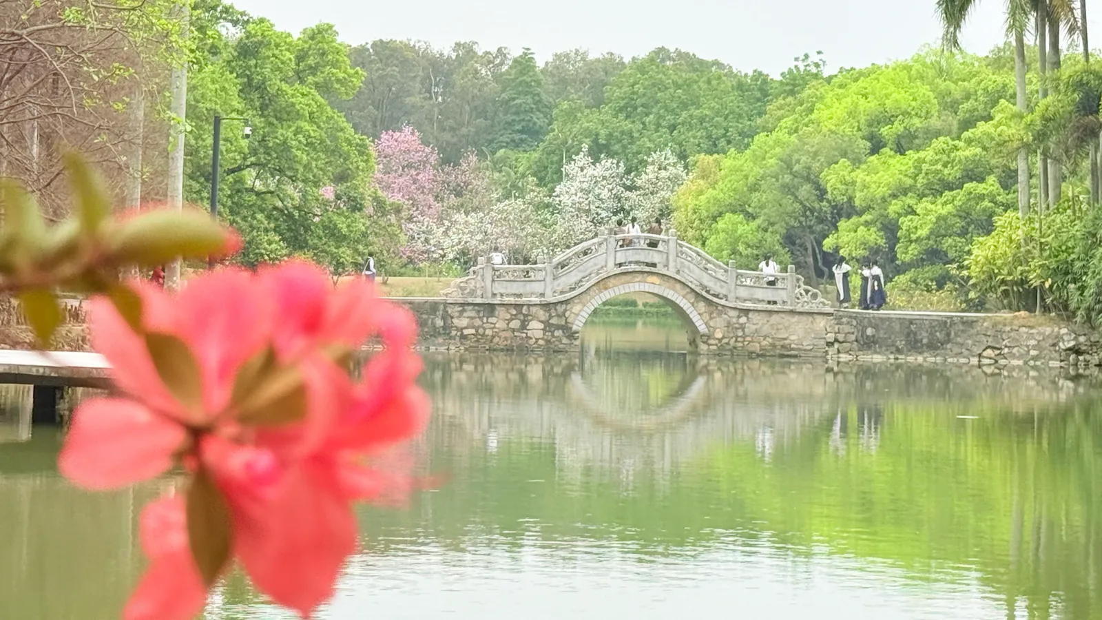 Main view at South China Botanical Garden Guangzhou — travel photo
