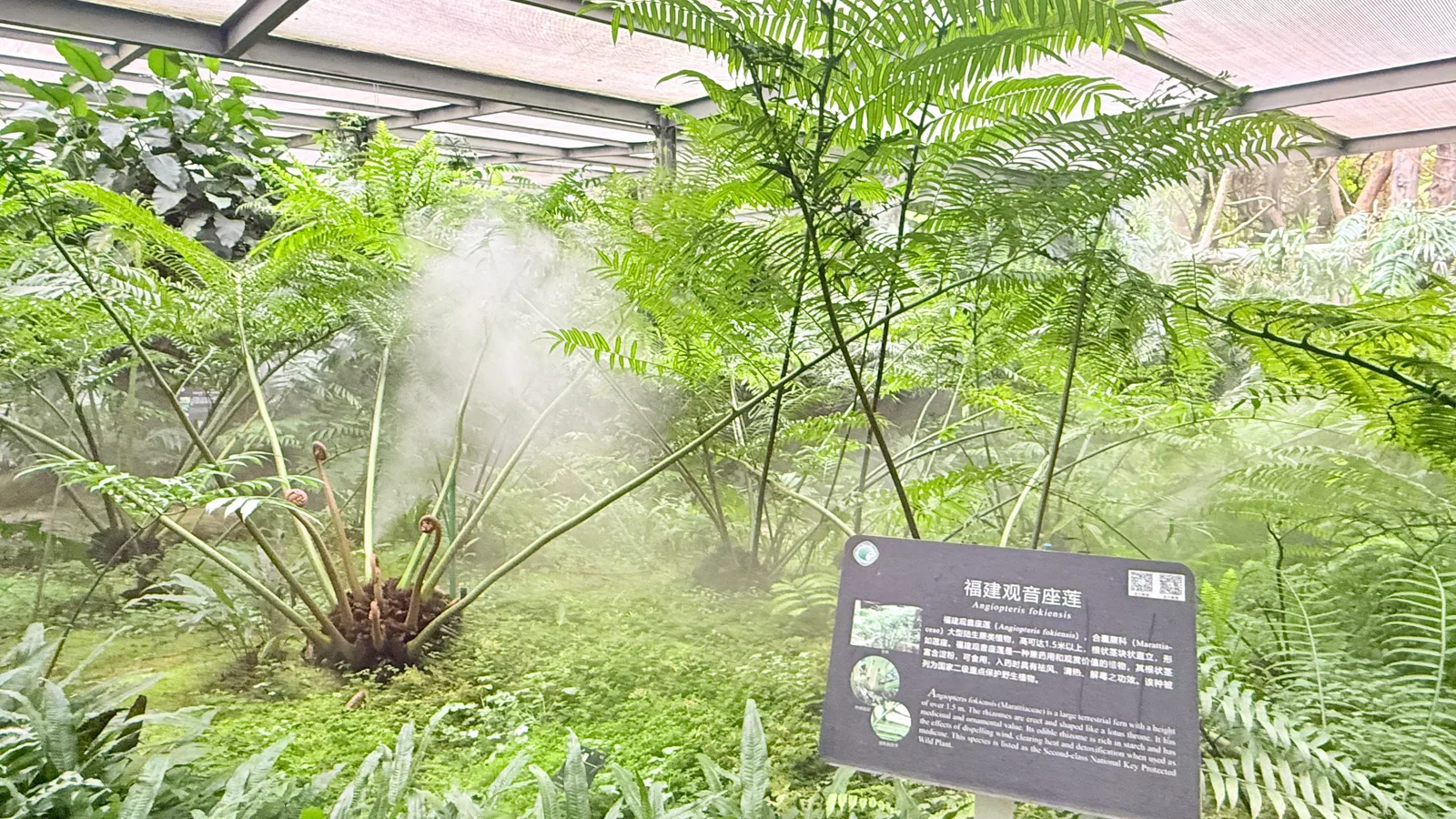 Atmosphere at South China Botanical Garden Guangzhou — travel photo