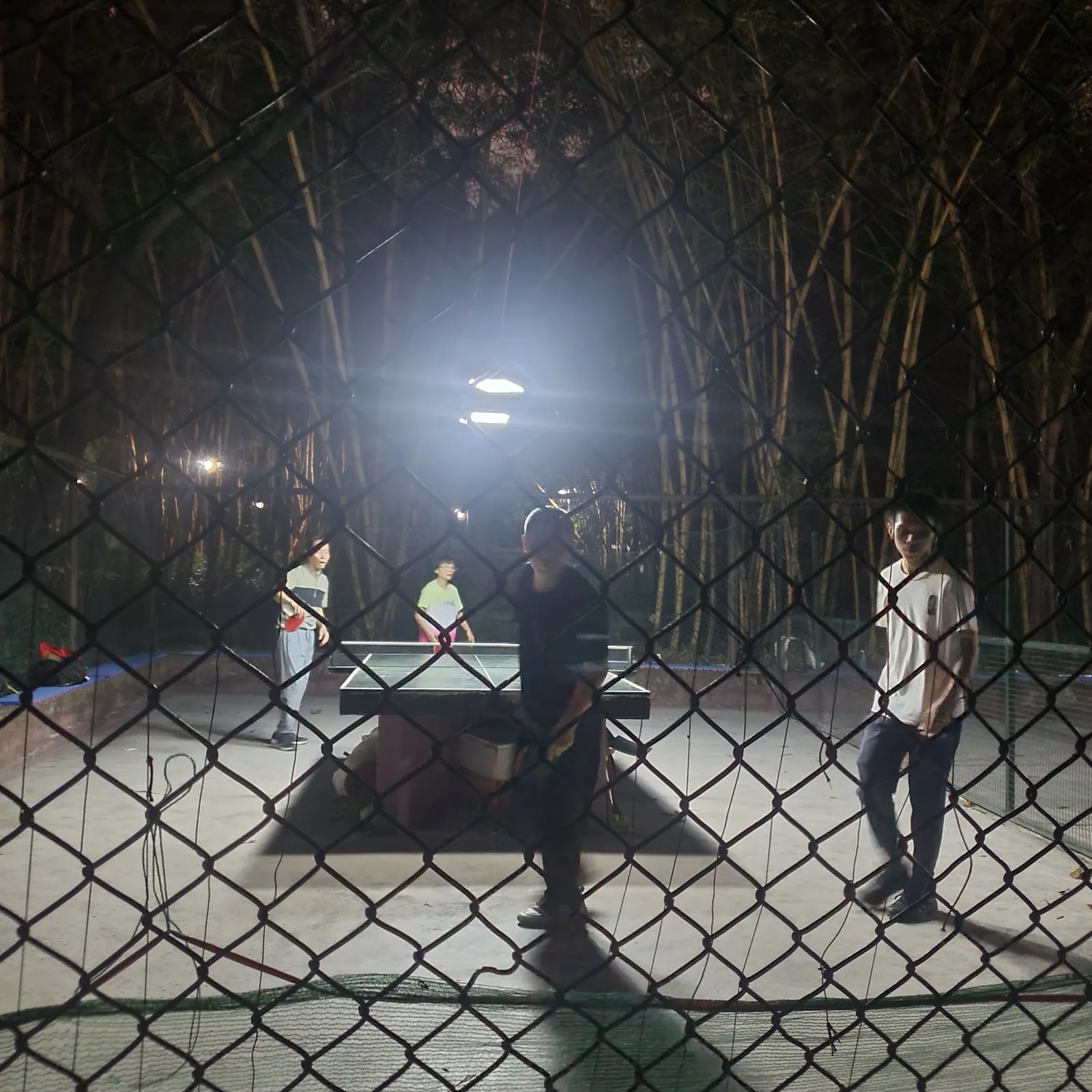 Details at Xiaogang Park Guangzhou — travel photo