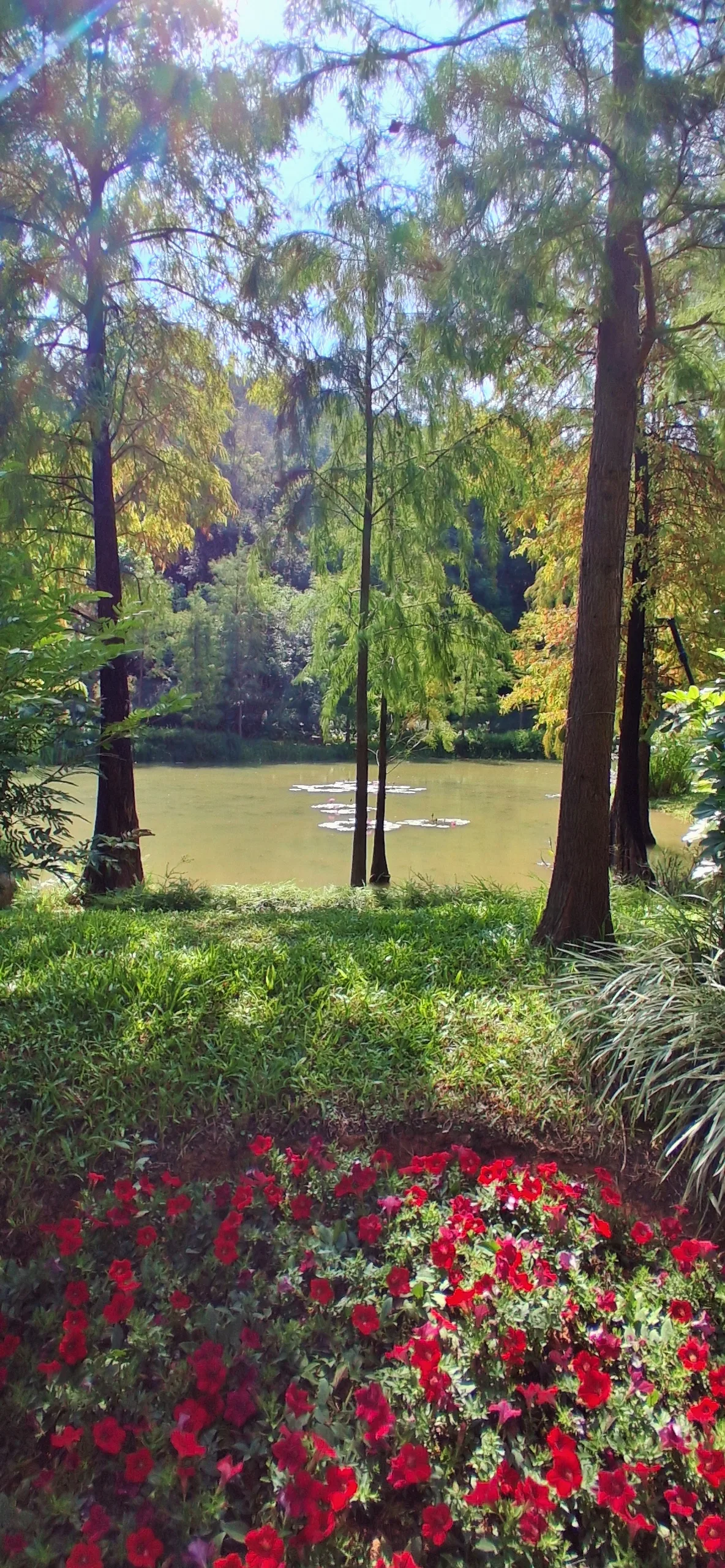 Details at Yunxi Ecological Park Guangzhou — travel photo