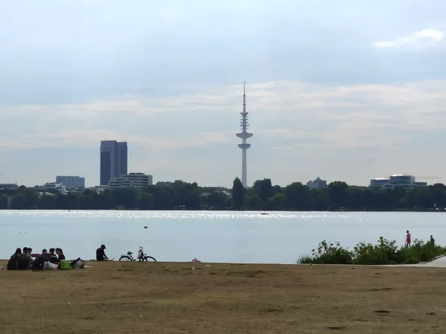 Alsterwiese Schwanenwik