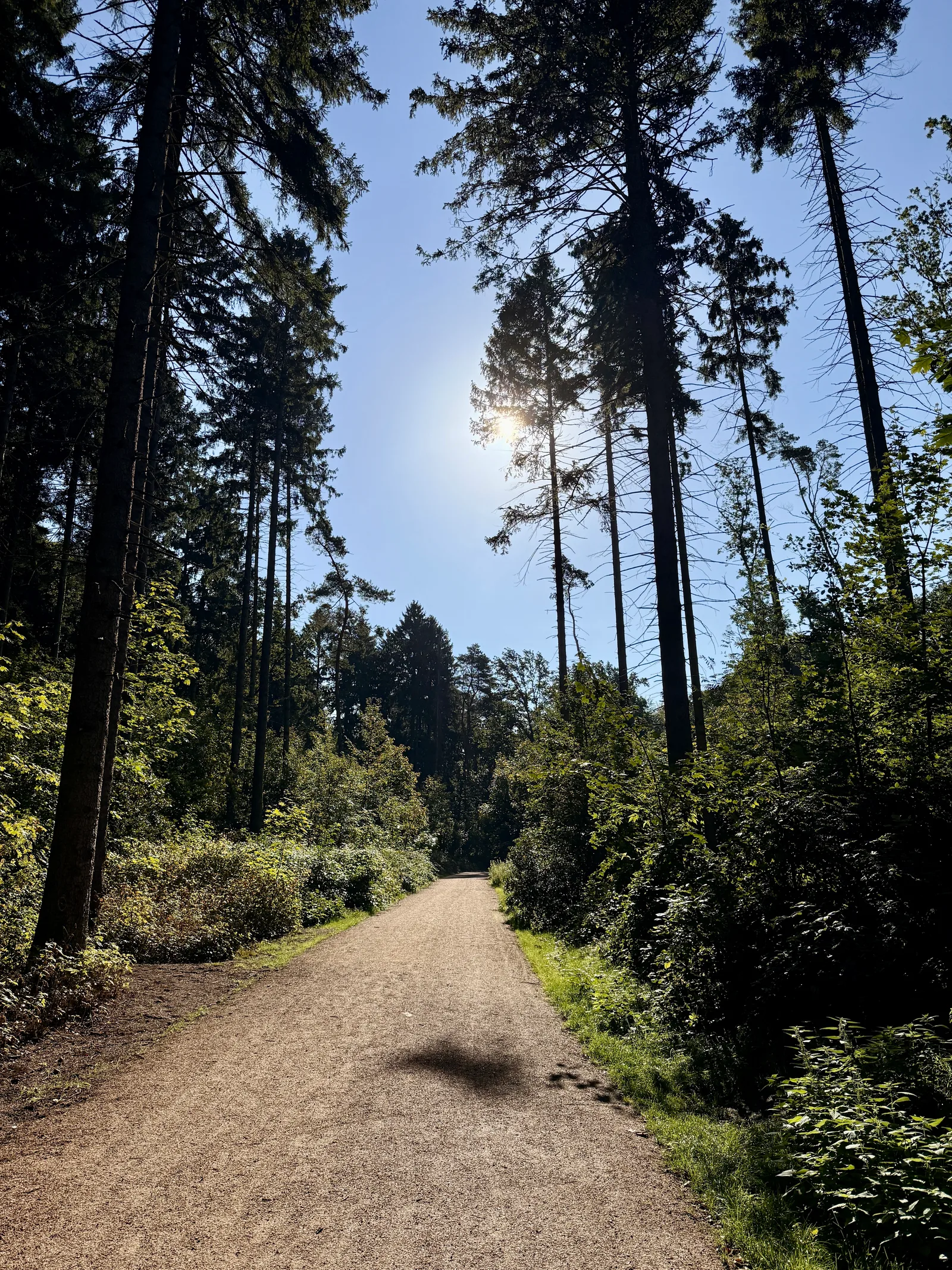 Main view at Altonaer Volkspark Hamburg — travel photo