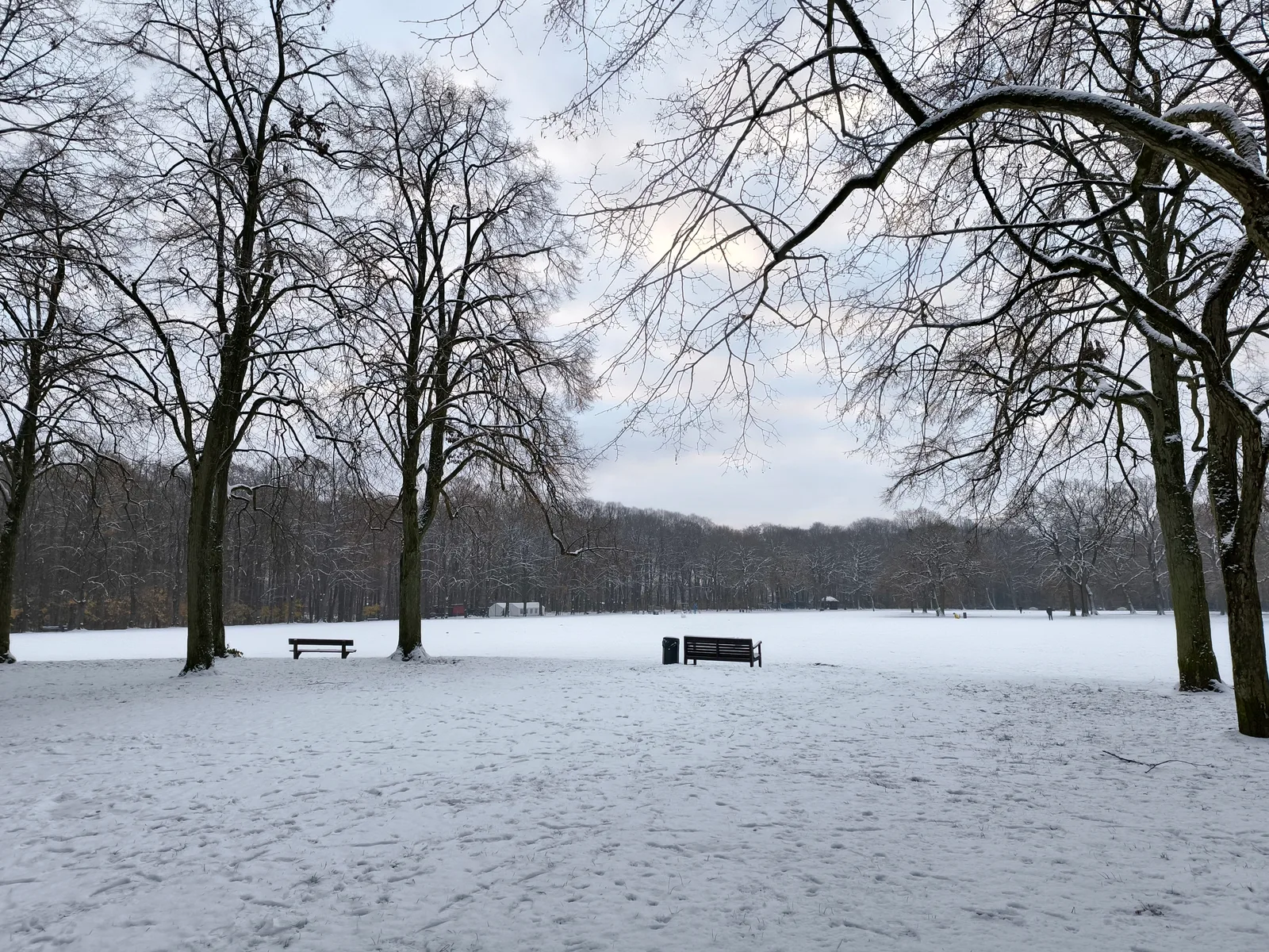 Atmosphere at Altonaer Volkspark Hamburg — travel photo