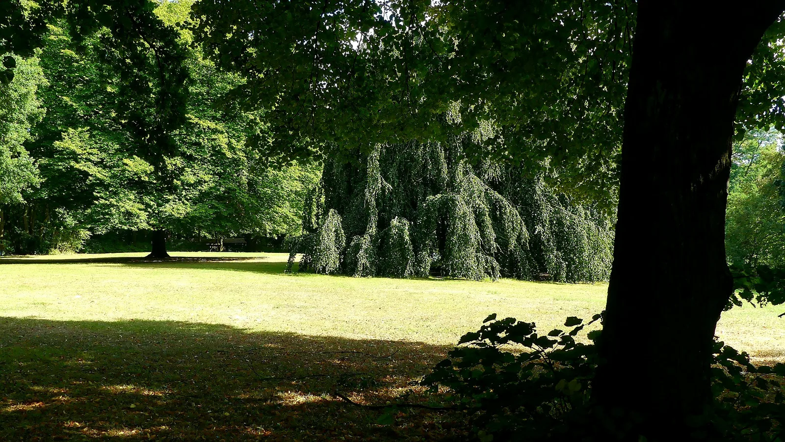 Main view at Blohms Park Hamburg — travel photo