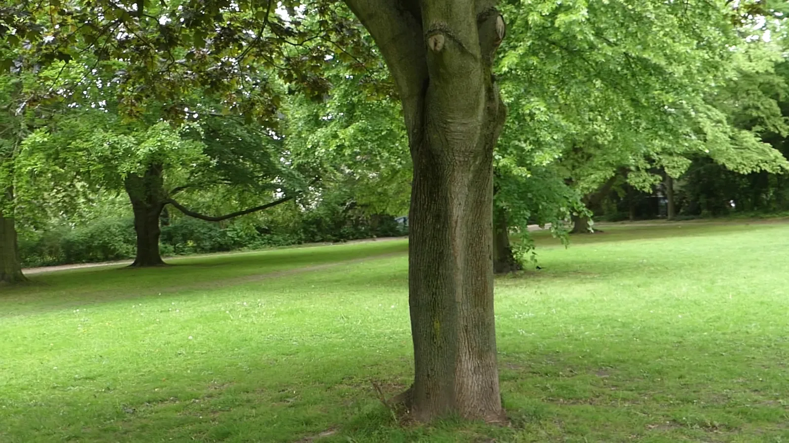 Atmosphere at Blohms Park Hamburg — travel photo