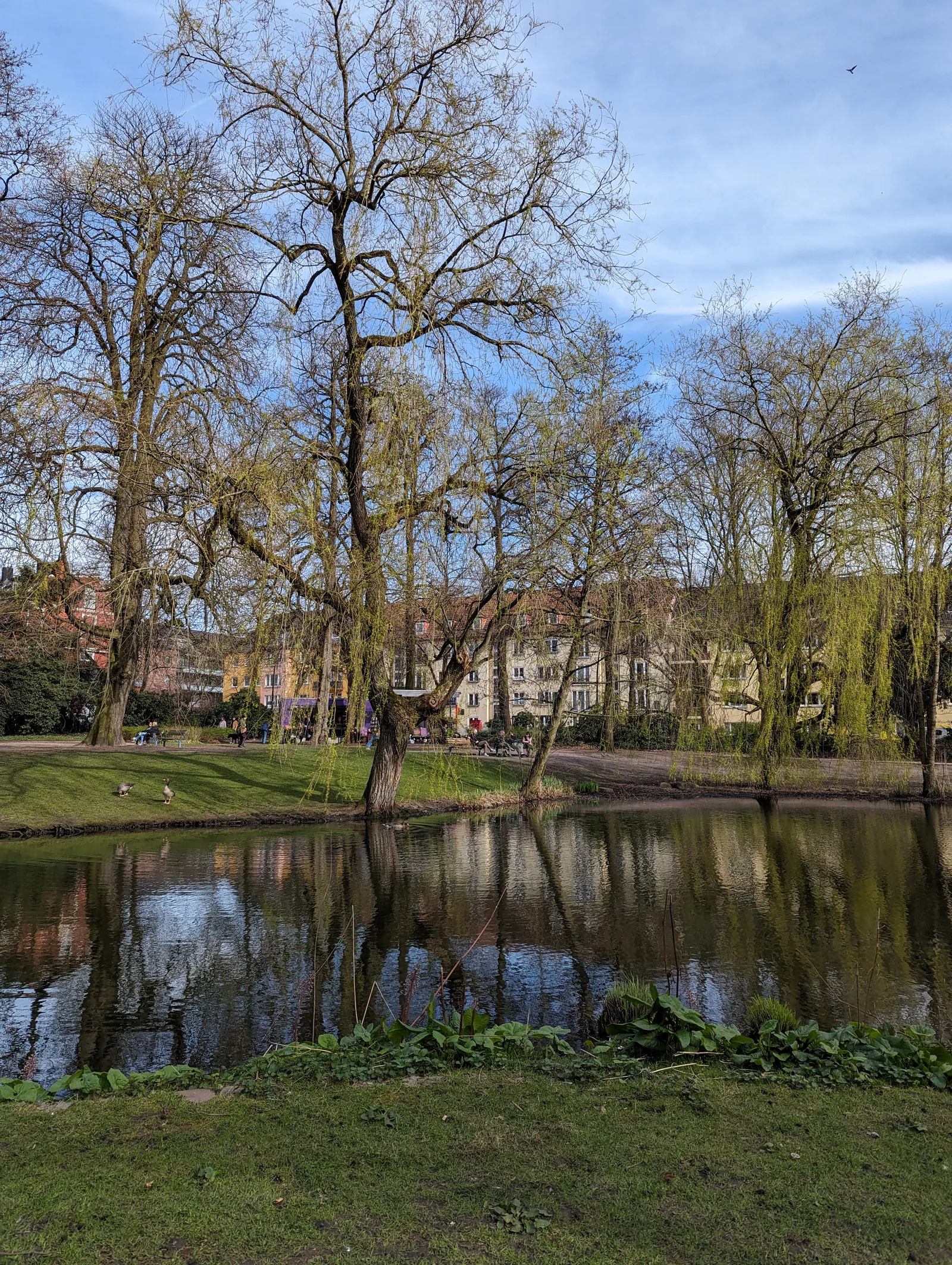 Main view at Eimsbütteler Park Hamburg — travel photo