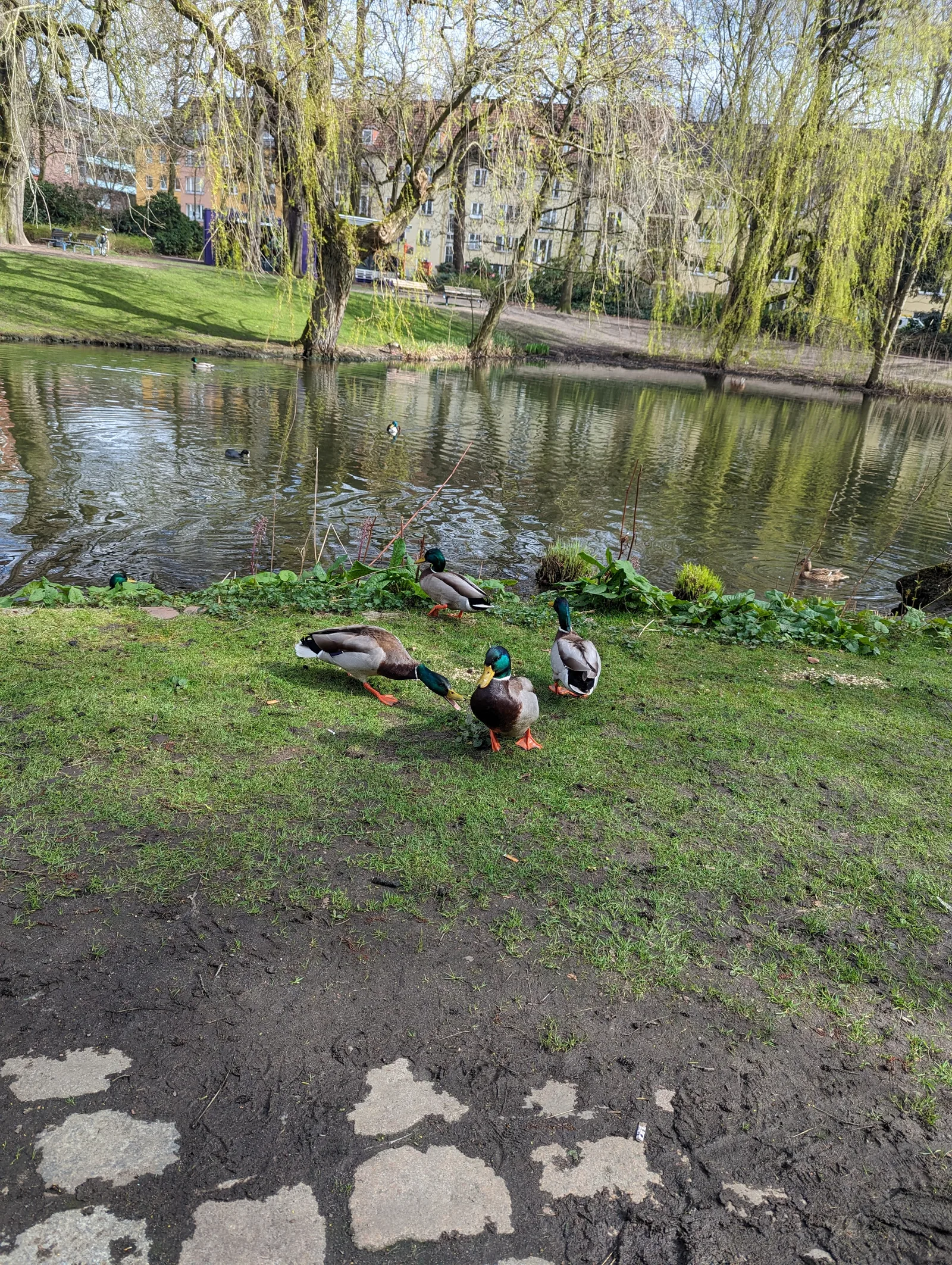 Interior at Eimsbütteler Park Hamburg — travel photo