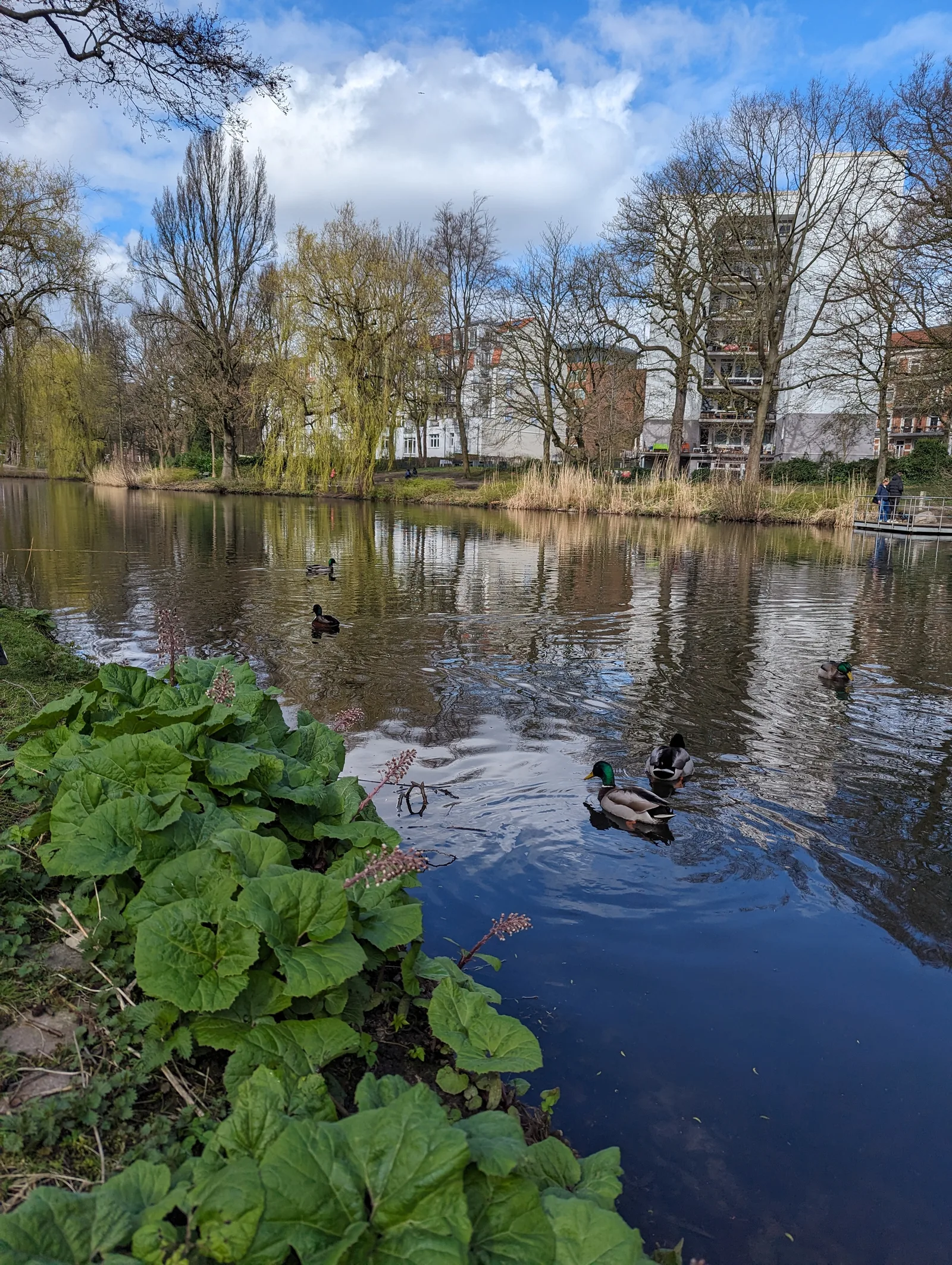 Atmosphere at Eimsbütteler Park Hamburg — travel photo