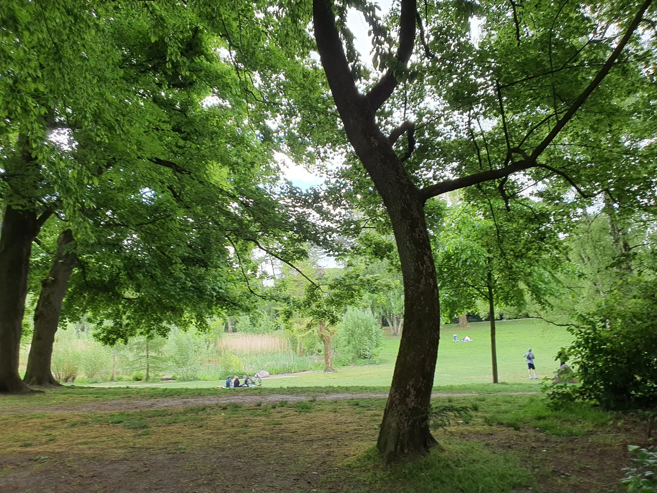Eppendorfer Park