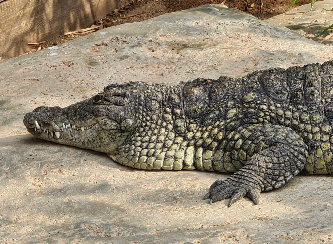 Main view at Hagenbeck Zoo Hamburg — travel photo