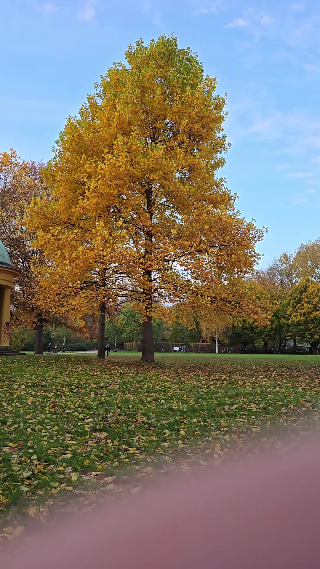 Atmosphere at Hayns Park Hamburg — travel photo