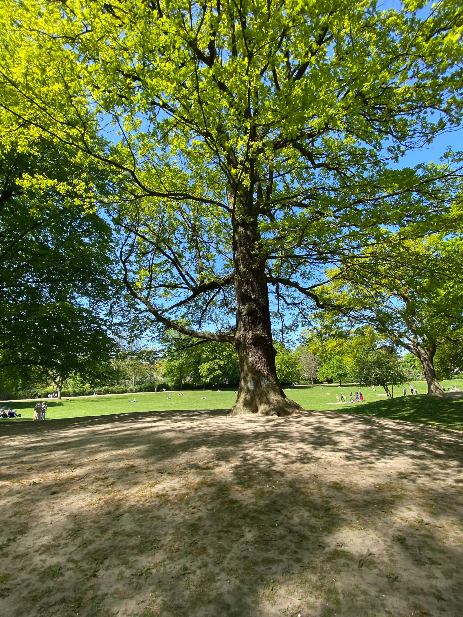 Main view at Innocentia Park Hamburg — travel photo