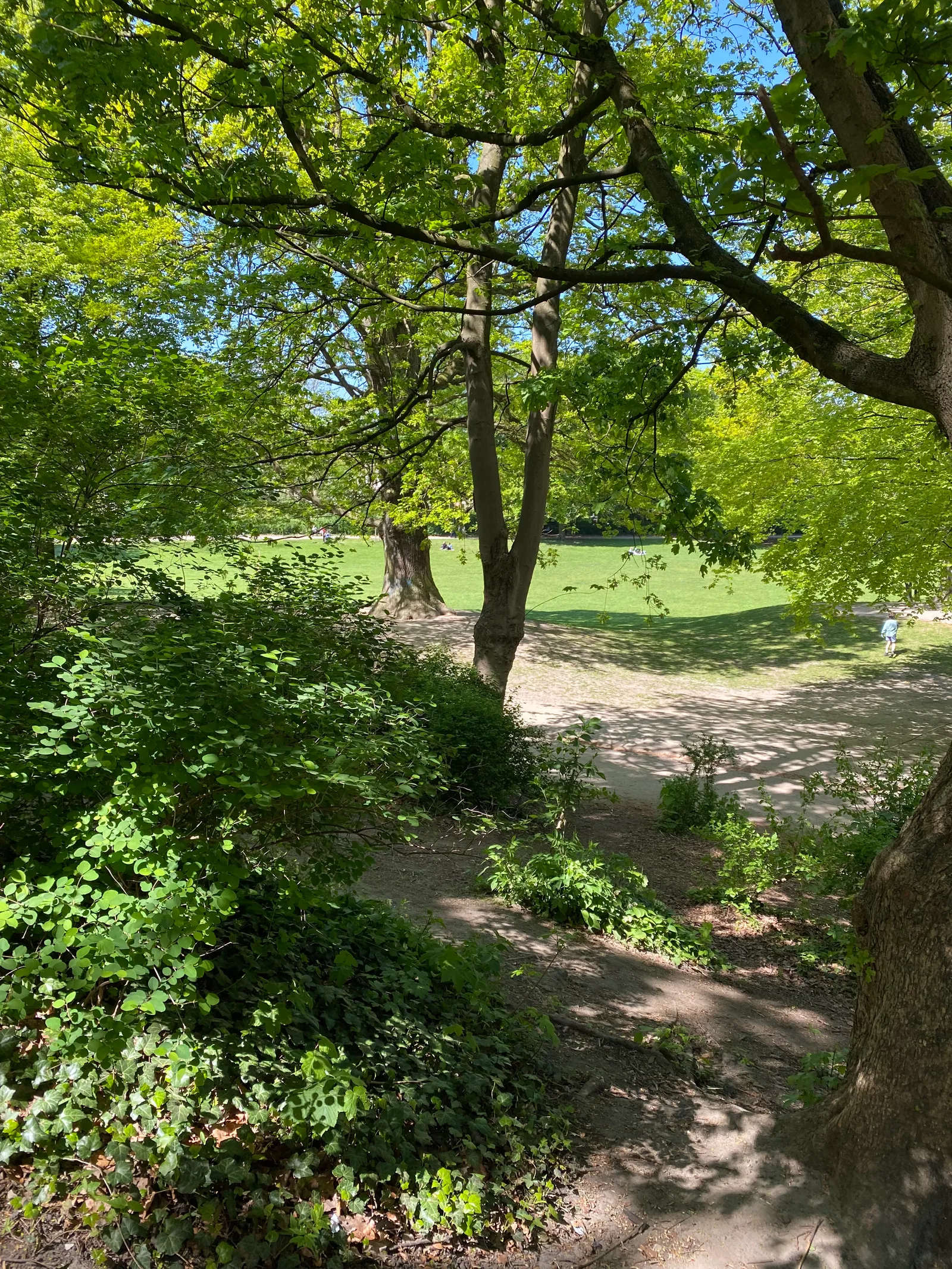 Atmosphere at Innocentia Park Hamburg — travel photo