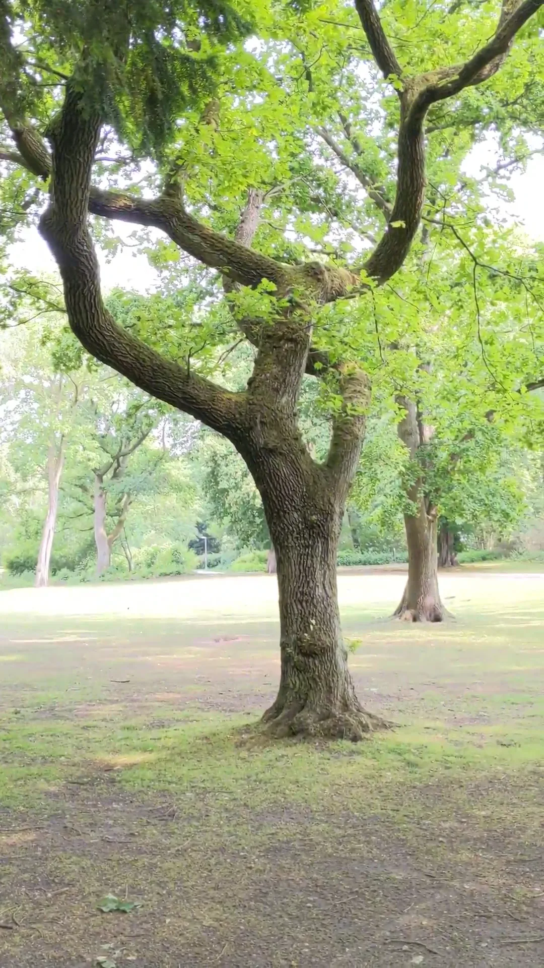 Atmosphere at Jacobi Park Hamburg — travel photo