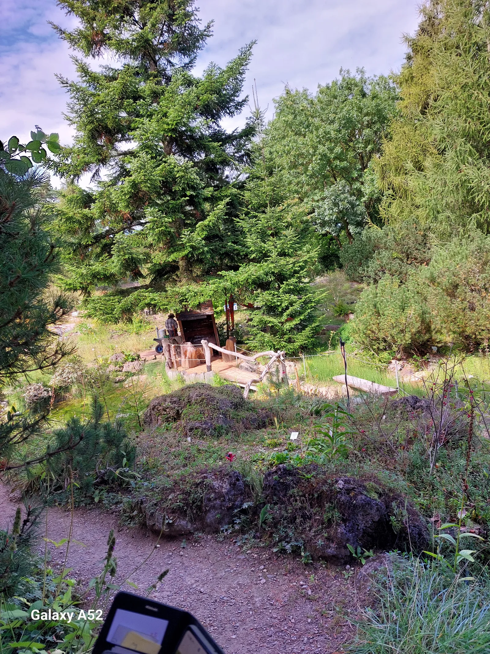 Main view at Loki Schmidt Garden Botanical of University Hamburg Hamburg — travel photo