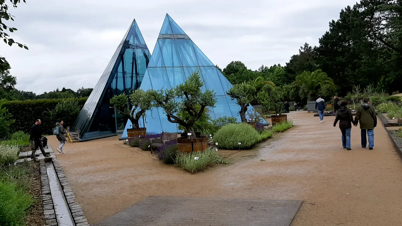 Interior at Loki Schmidt Garden Botanical of University Hamburg Hamburg — travel photo