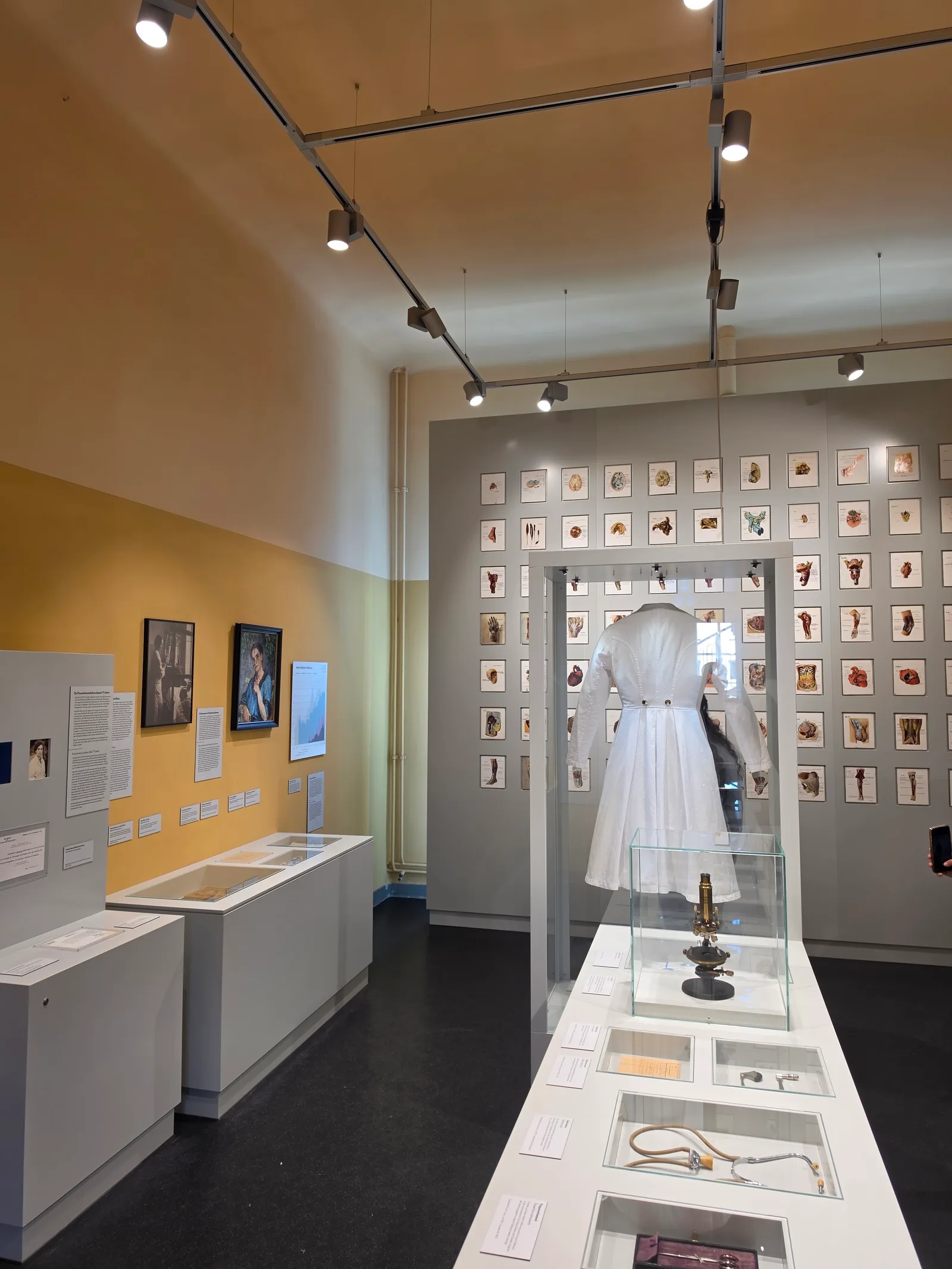 Interior at Medical Historical Museum Hamburg Hamburg — travel photo