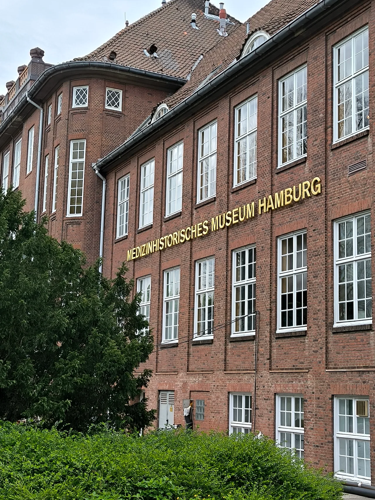 Hamburg culture β Medical Historical Museum Hamburg