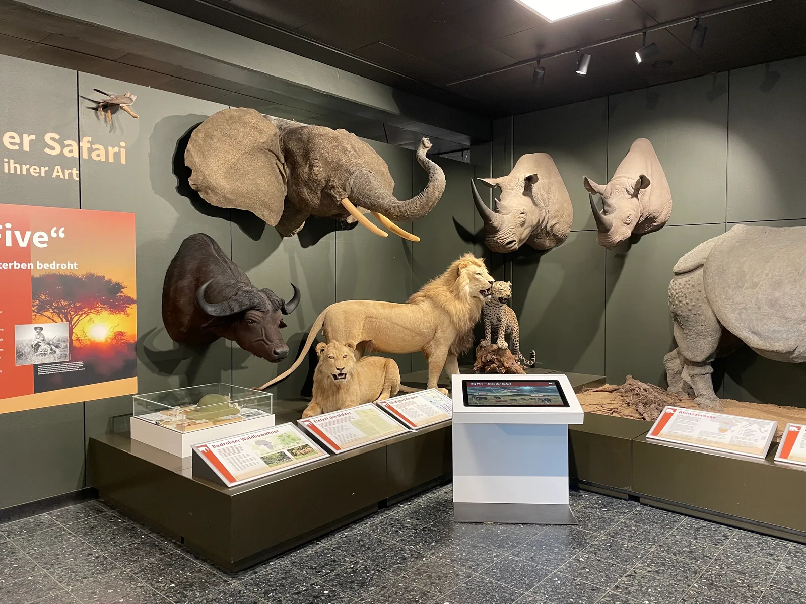 Main view at Museum of Nature - Zoology Hamburg — travel photo