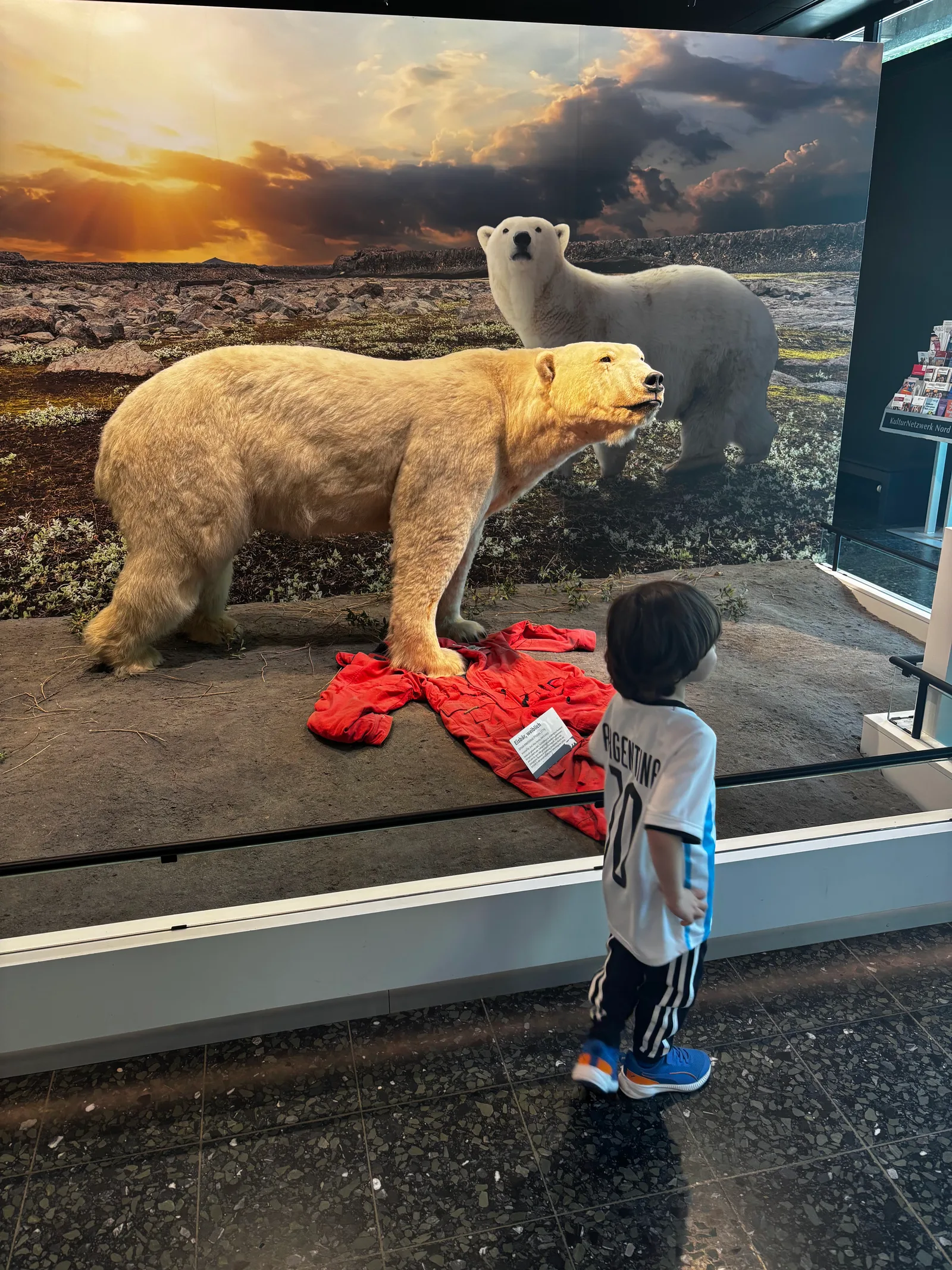 Atmosphere at Museum of Nature - Zoology Hamburg — travel photo