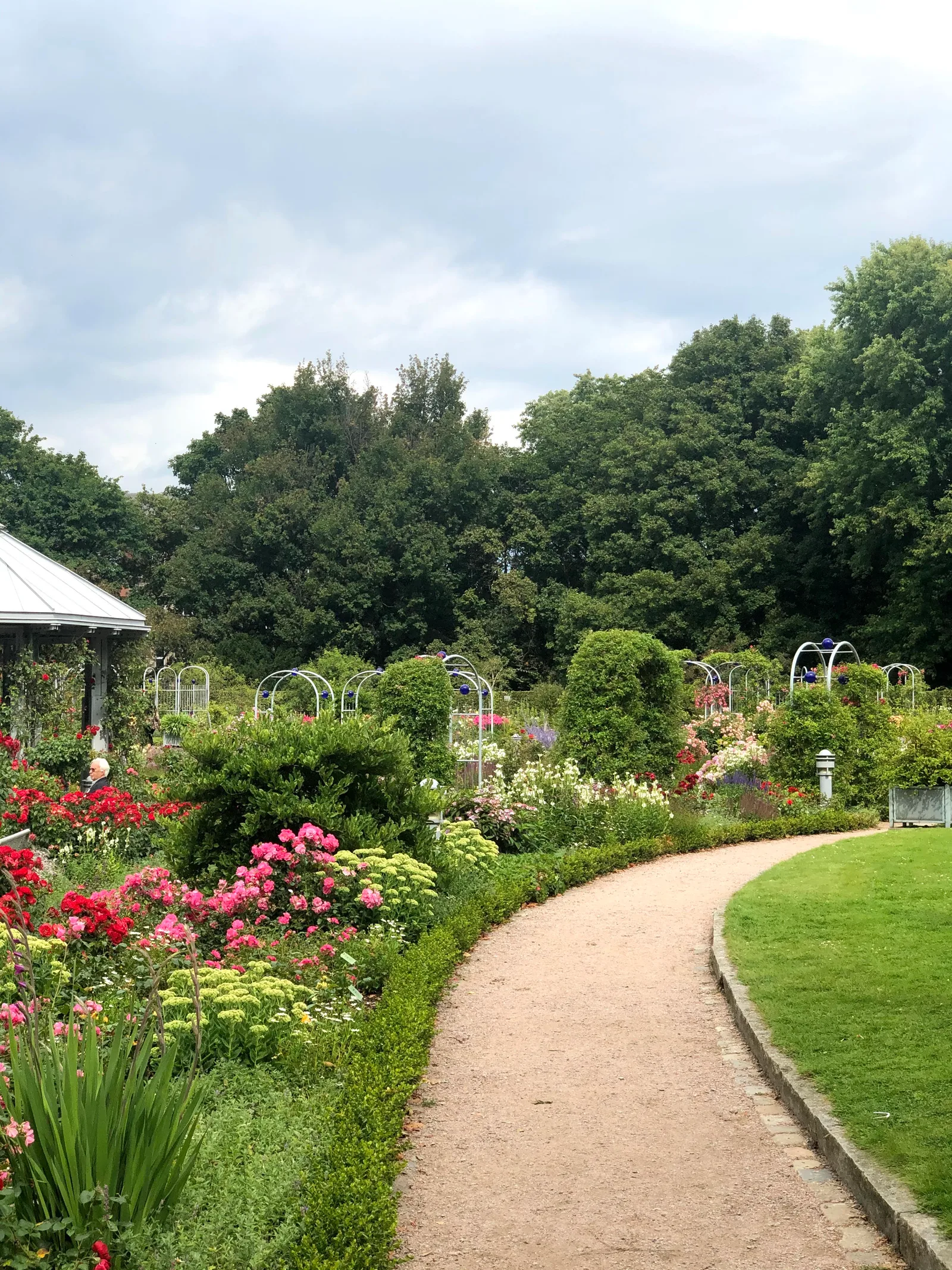 Atmosphere at Old Botanical Garden Hamburg — travel photo