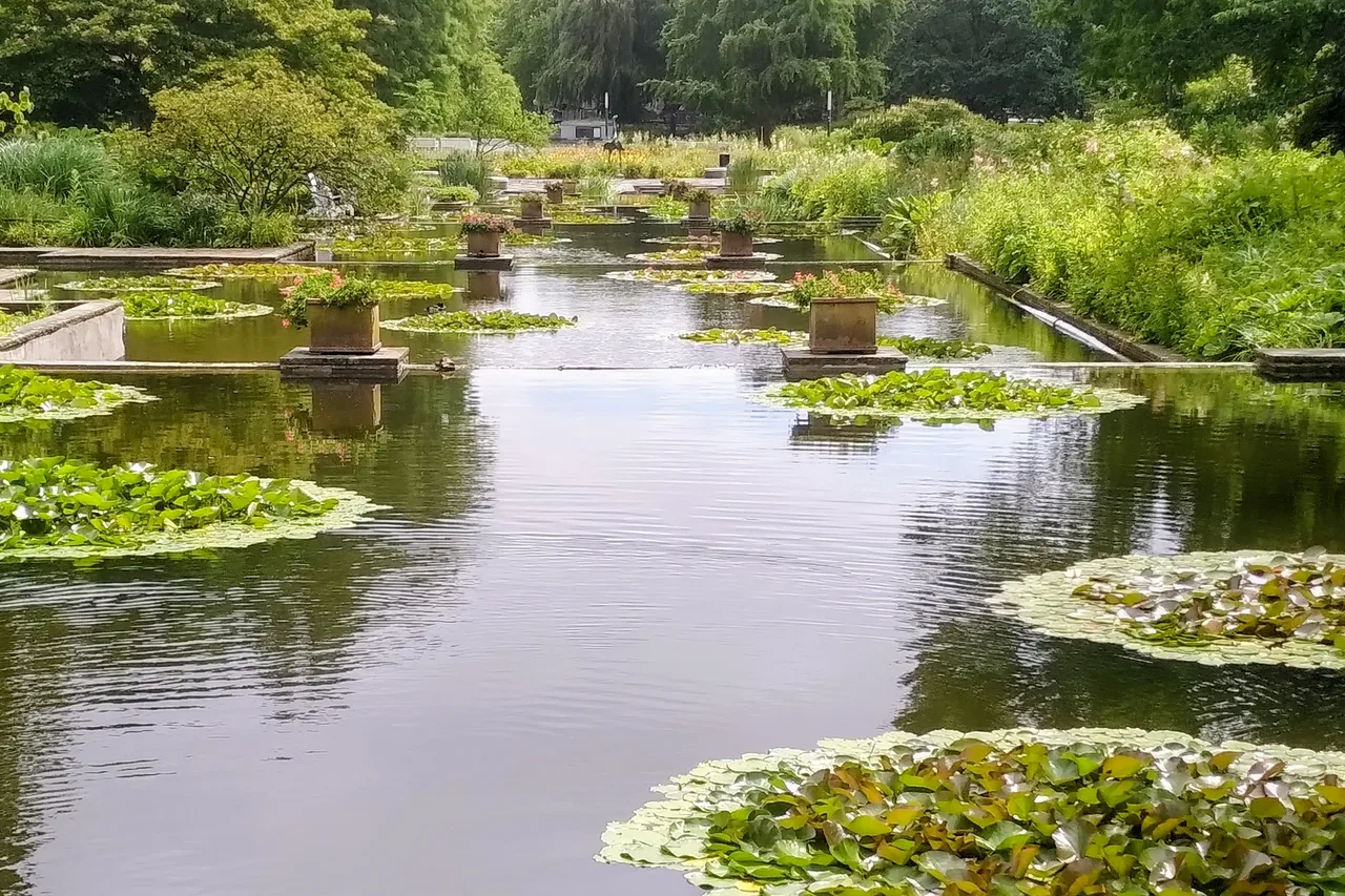 Old Botanical Garden