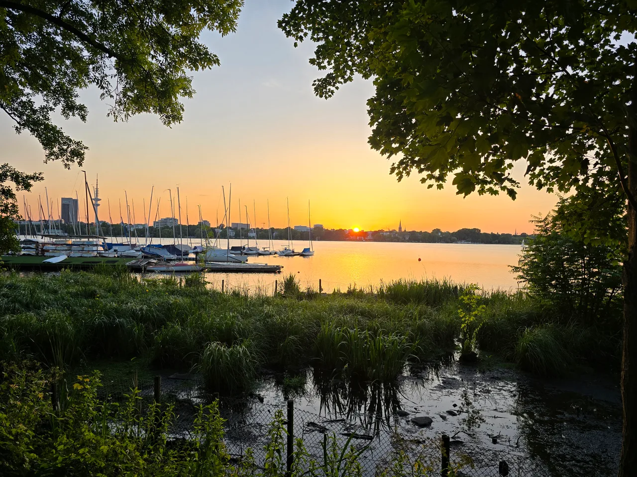 Park benches with Alster view