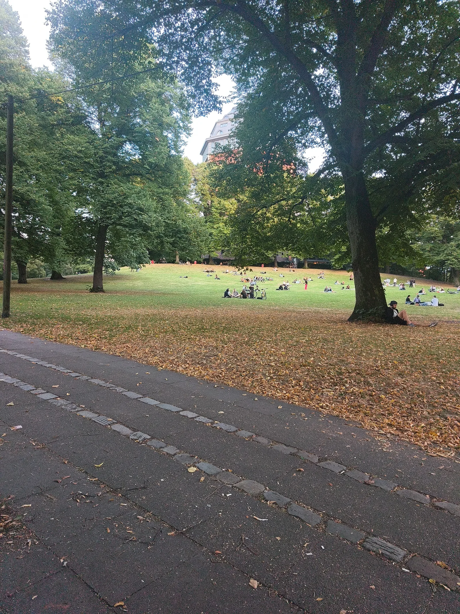 Main view at Schanzenpark Hamburg — travel photo