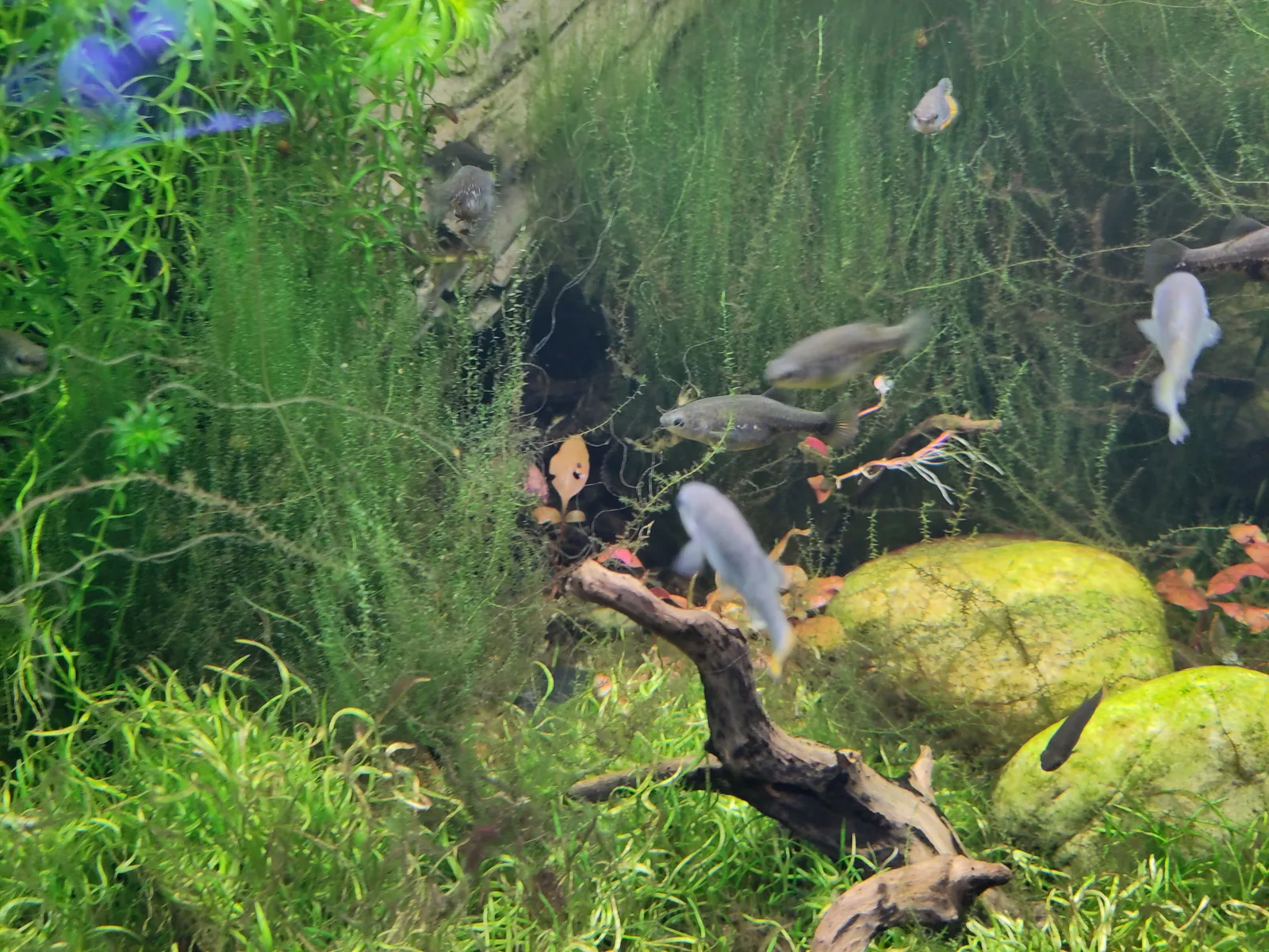 Details at Tropen-Aquarium beim Tierpark Hagenbeck Hamburg — travel photo