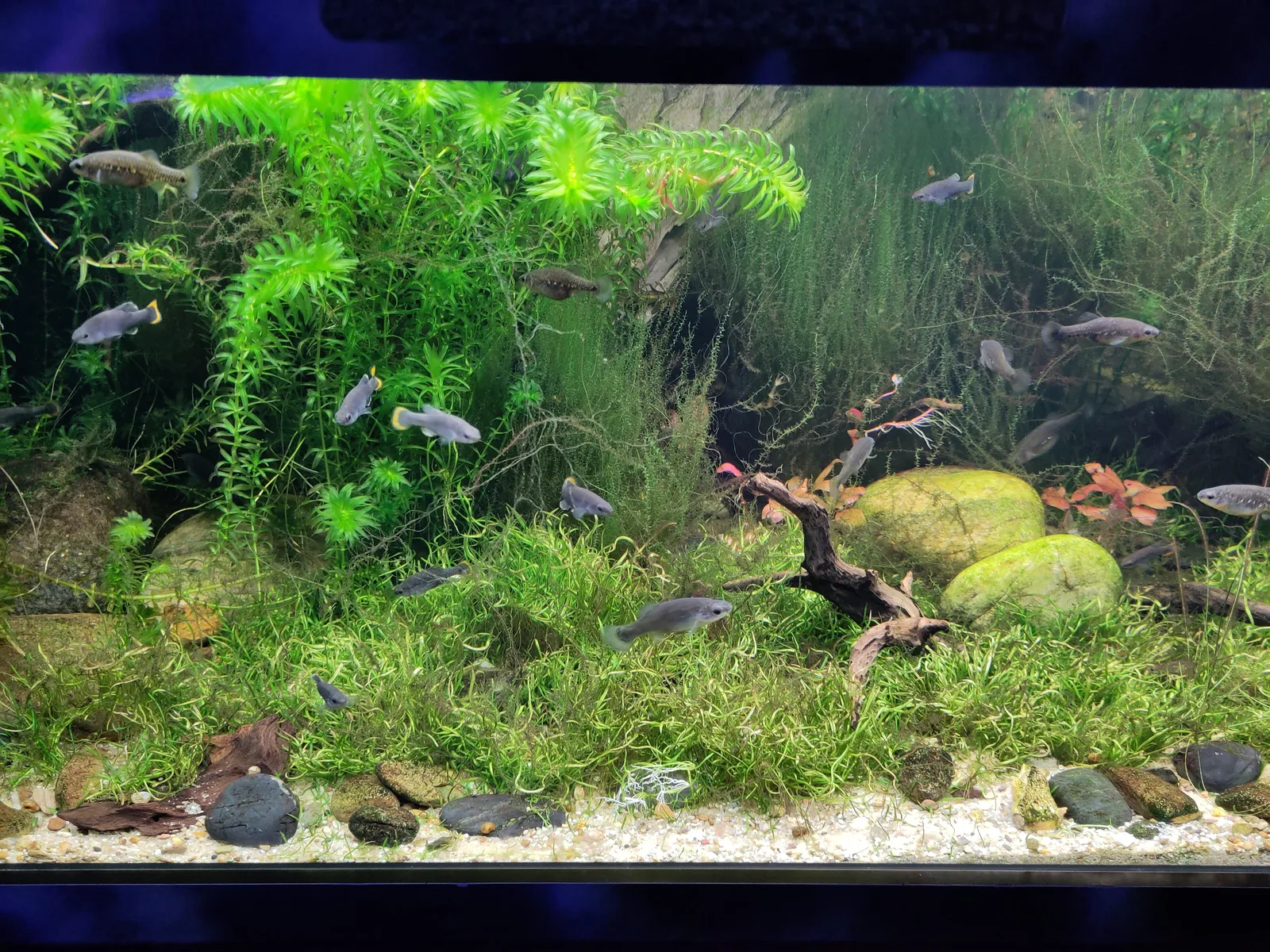 Atmosphere at Tropen-Aquarium beim Tierpark Hagenbeck Hamburg — travel photo