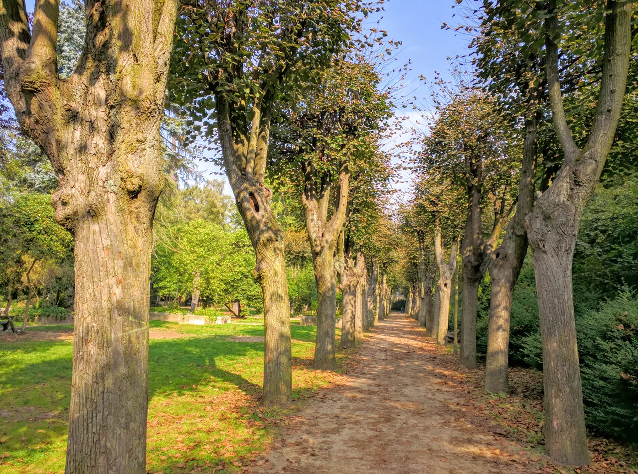 Wohlers Park