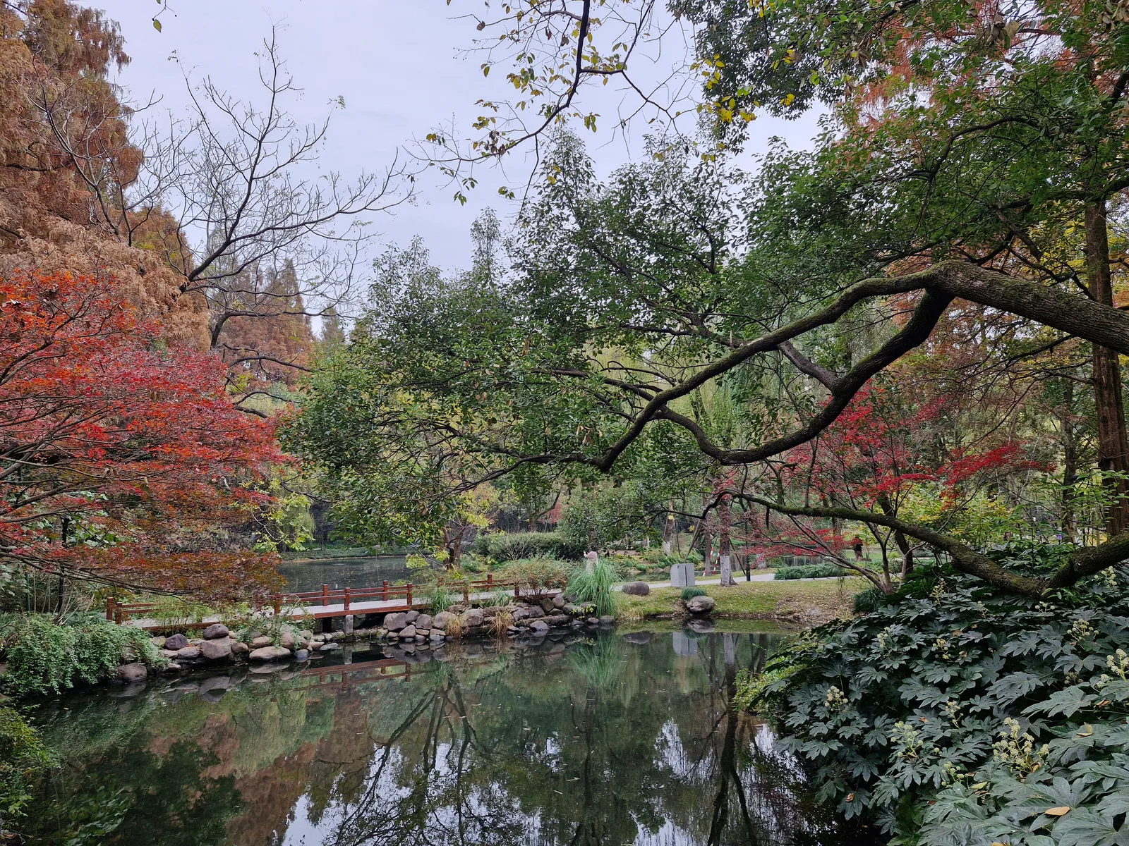 Details at Changqiao Park Hangzhou — travel photo