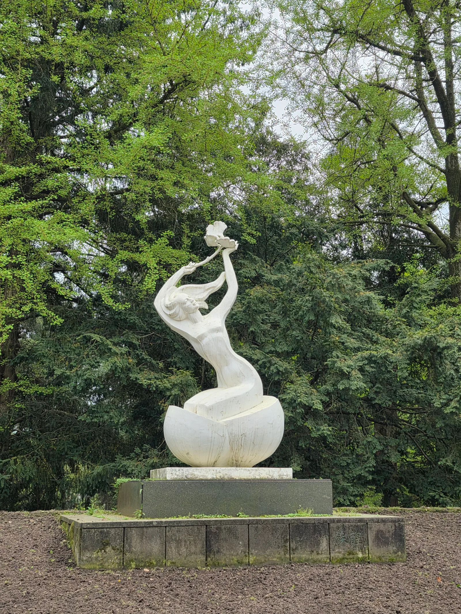 Main view at Hangzhou Botanical Garden Hangzhou — travel photo