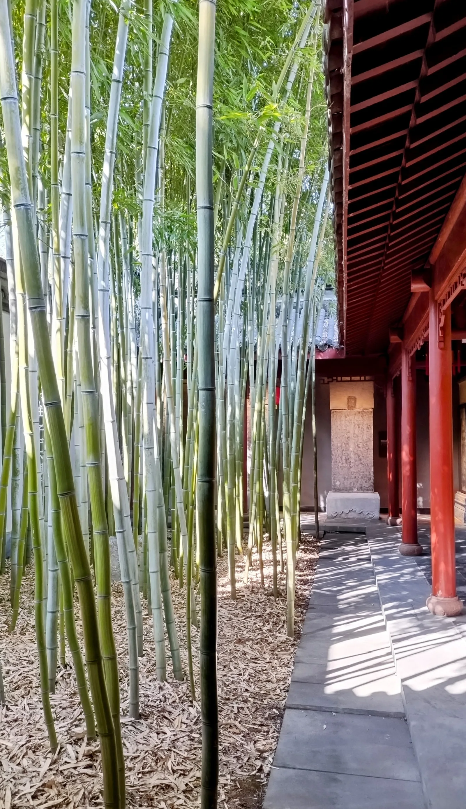 Interior at Hangzhou Confucian Temple Hangzhou — travel photo